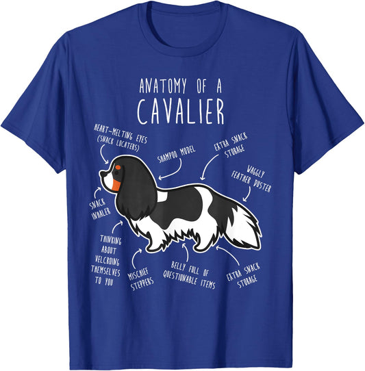 Tri-Color Cavalier King Charles Spaniel Dog Funny Anatomy Men Women Girls Kids T-Shirt - T-Shirt | Royal