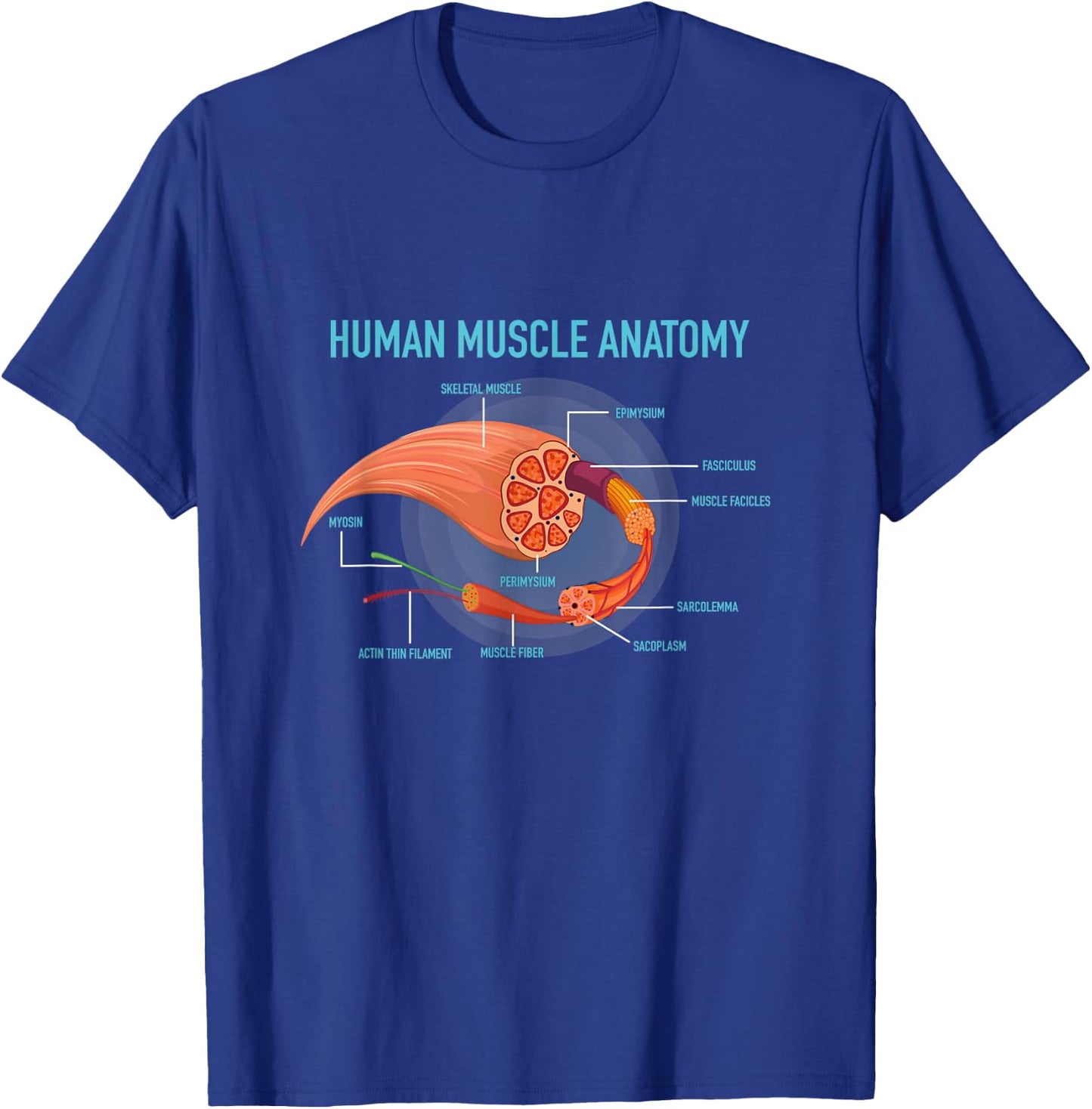 Anatomy of Human Muscle for Medic T-Shirt - T-Shirt | Royal