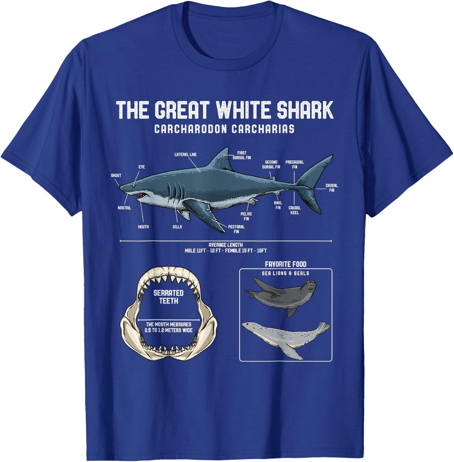 Great White Shark Anatomy Shirt - Shark Marine Biologist T-Shirt - T-Shirt | Royal