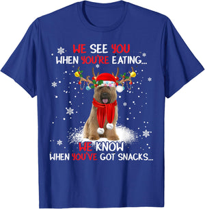 Santa Briard Reindeer Light Christmas Pajama T-Shirt - T-Shirt | Royal