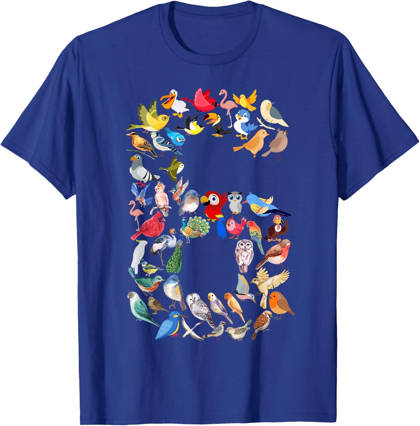 Kids 6th Birthday Birds Themed 6 Year Old Boys Bird Lover T-Shirt - T-Shirt | Royal