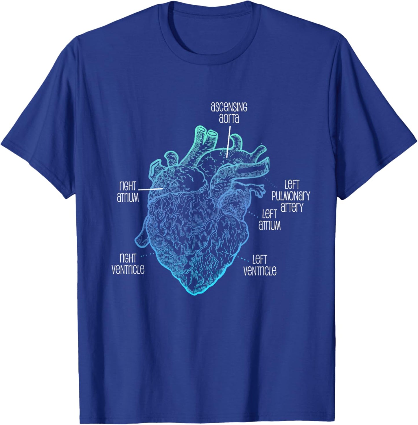 Parts Of Heart Cardiology Men Women Anatomical Cardiac T-Shirt - T-Shirt | Royal