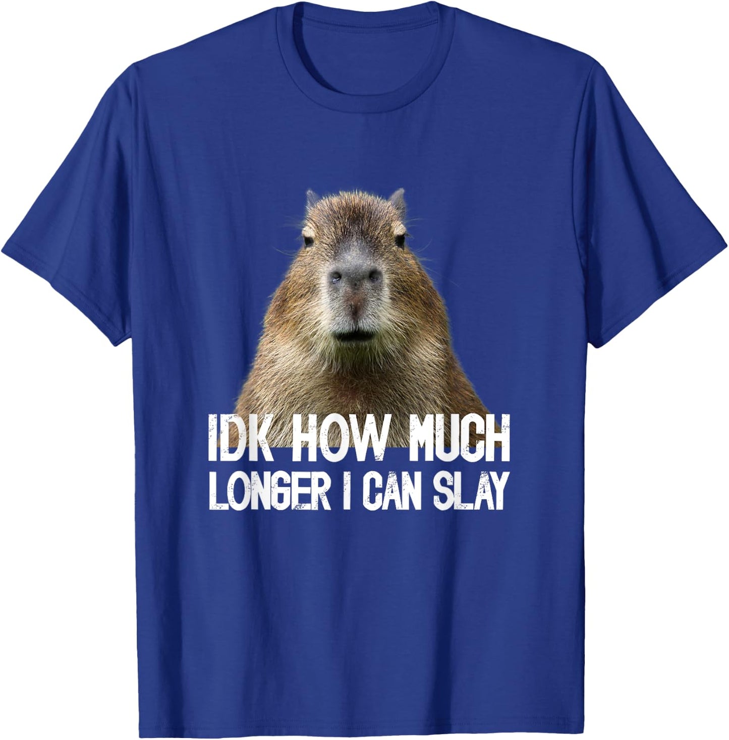 Idk How Much Longer I Can Slay Capybara Sarcastic Dank Meme T-Shirt - T-Shirt | Royal