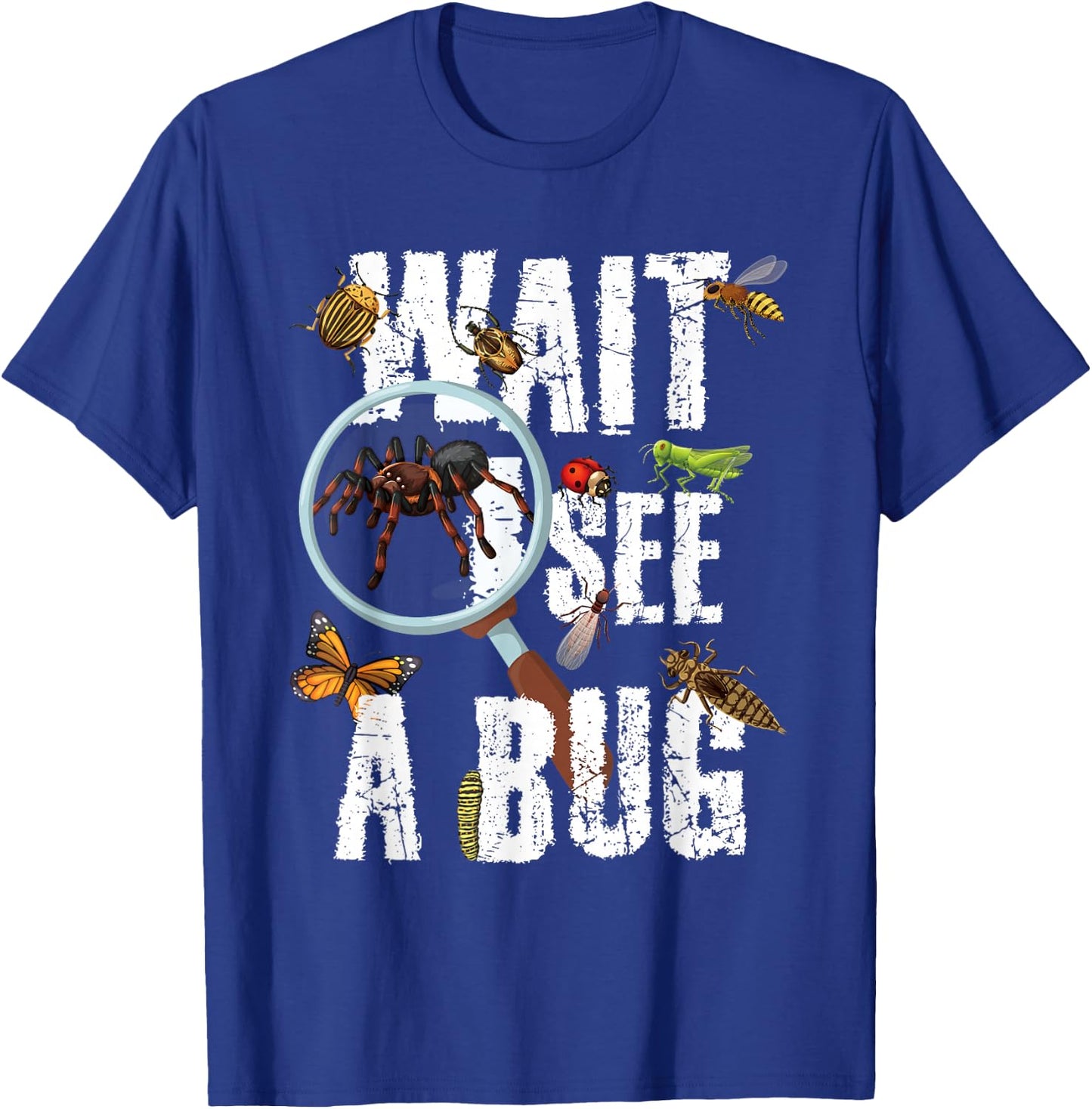 Insects of The World Bug Lover Expert Entomologist Bugs Fan T-Shirt - T-Shirt | Royal