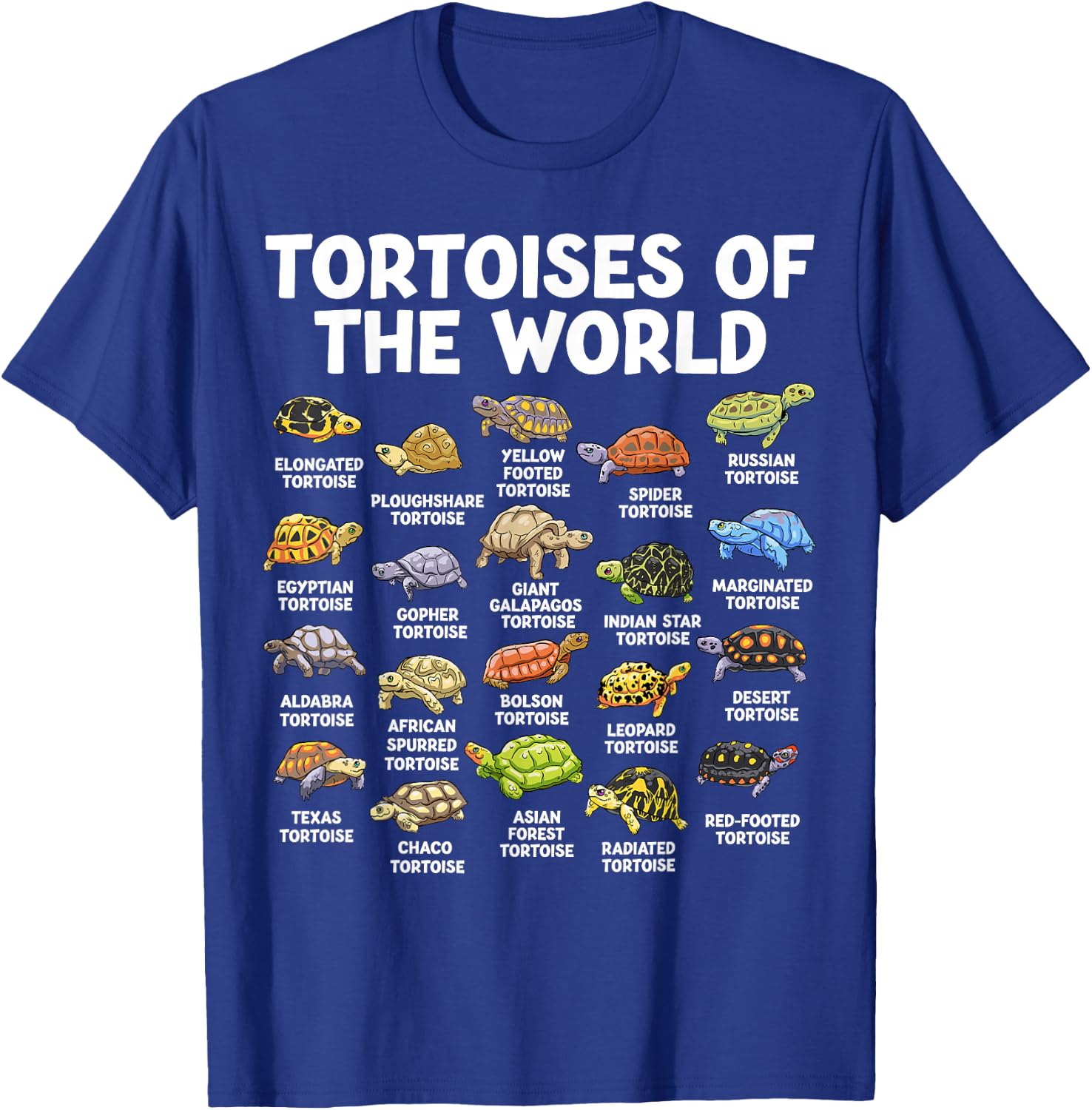 Tortoises of The World Kawaii Types of Turtles Funny Reptile T-Shirt - T-Shirt | Royal
