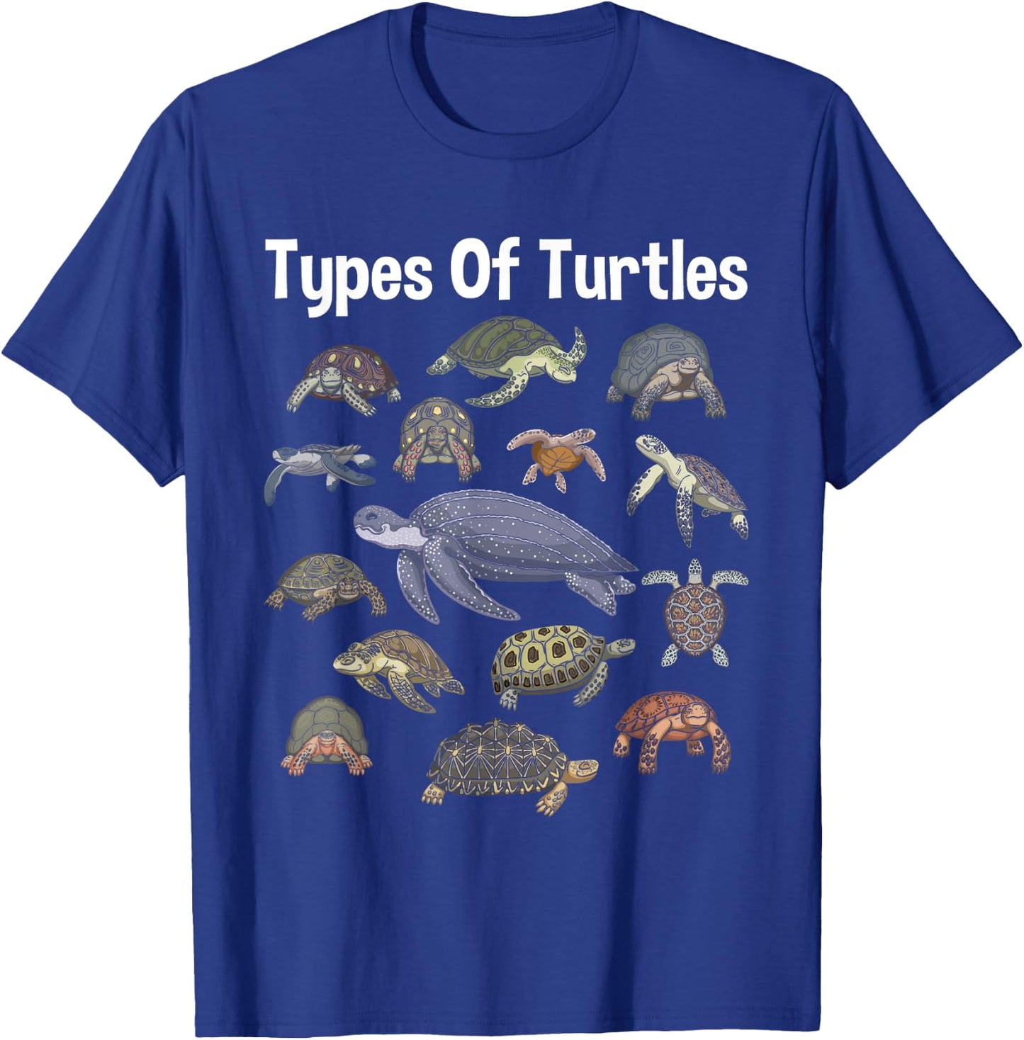 Types Of Turtles - Sea Ocean Animal Reptile Lover Zookeeper T-Shirt - T-Shirt | Royal