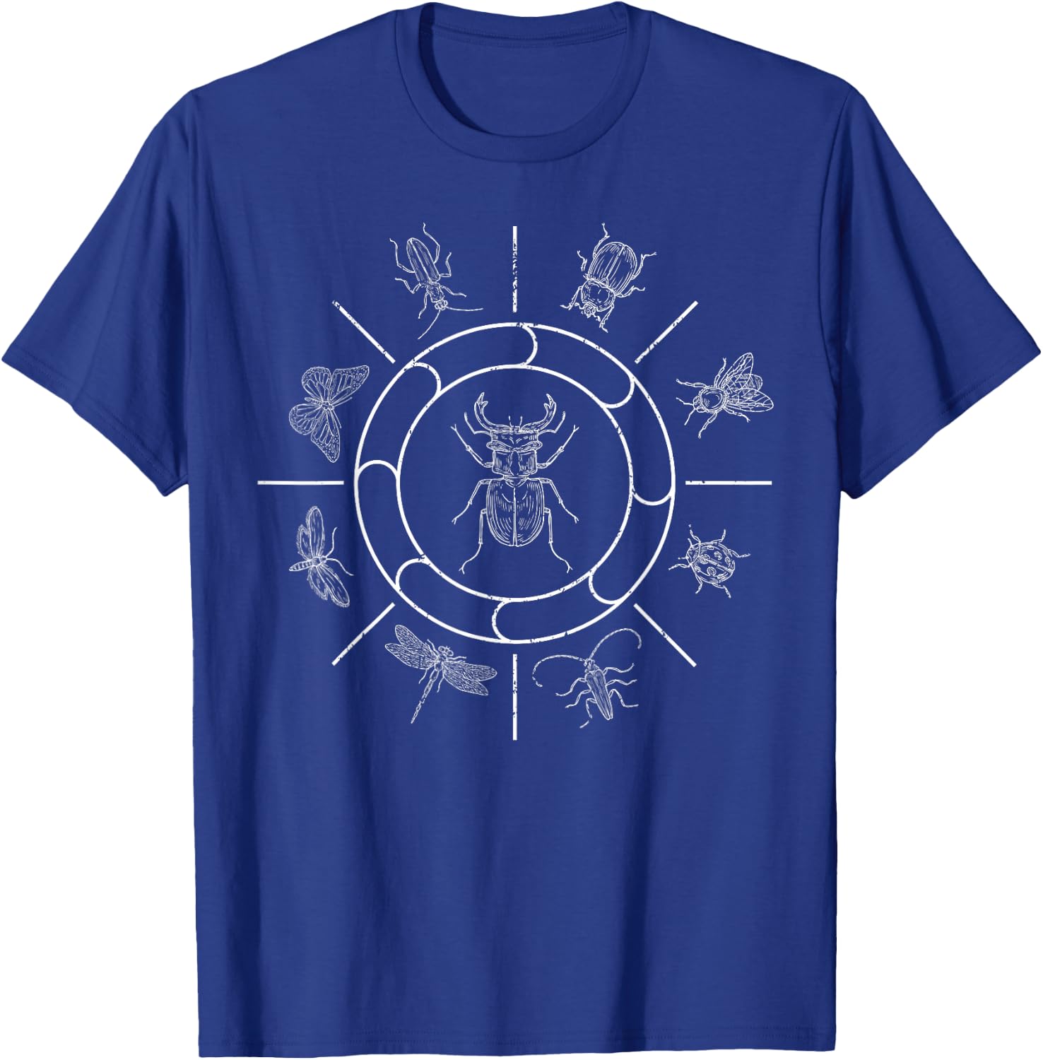 Insect Collection Entomology Biology Beetle T-Shirt - T-Shirt | Royal