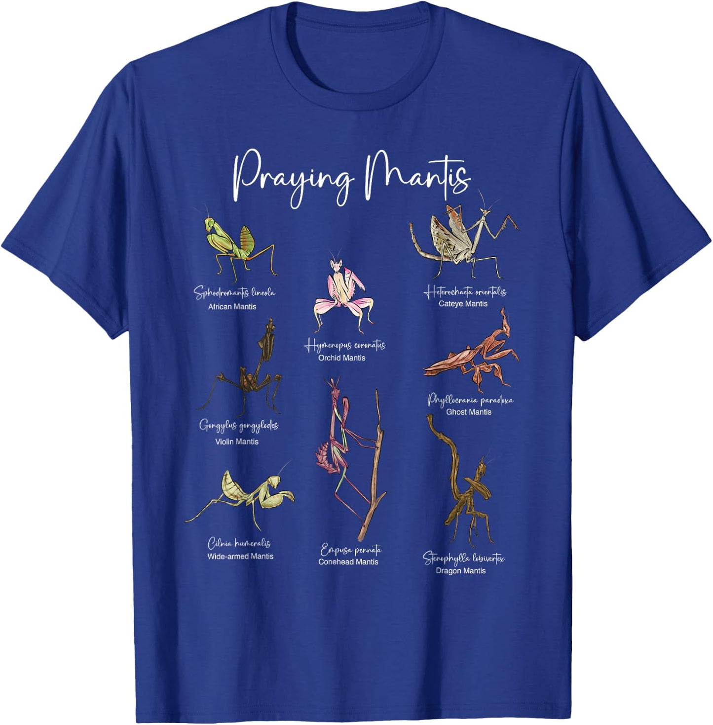 Types Of Praying Mantis Insect Collector Entomologist T-Shirt - T-Shirt | Royal