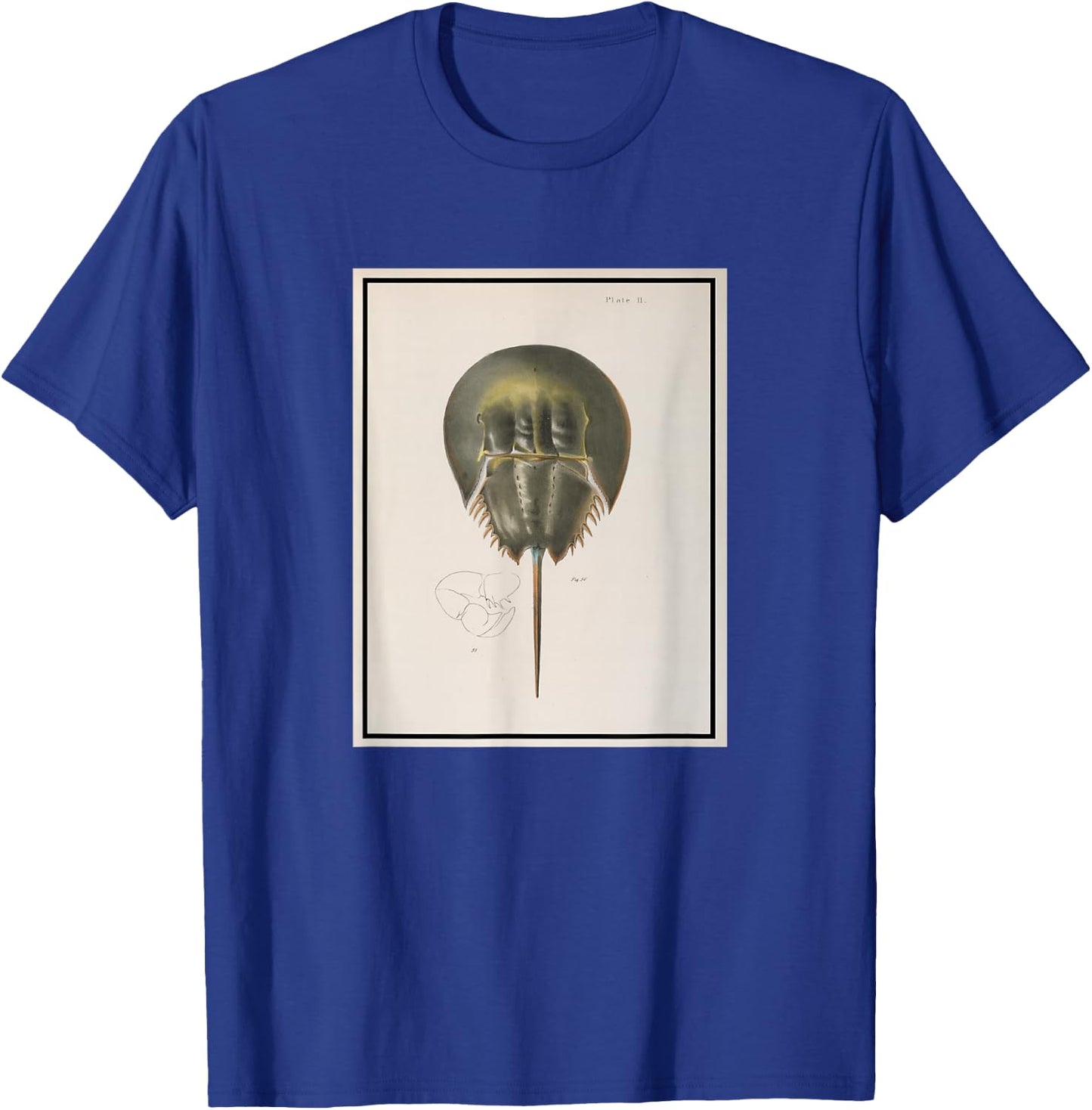 Vintage Horseshoe Crab Illustration (1844) T-Shirt - T-Shirt | Royal