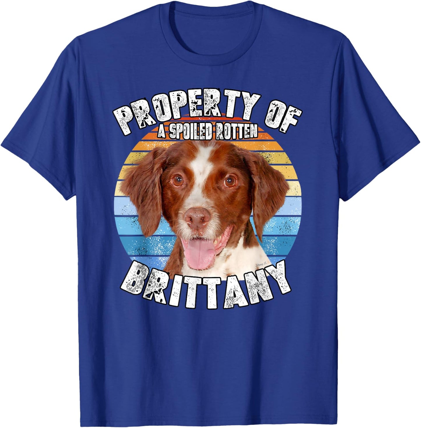 Brittany Spaniel Property Of T-Shirt - T-Shirt | Royal