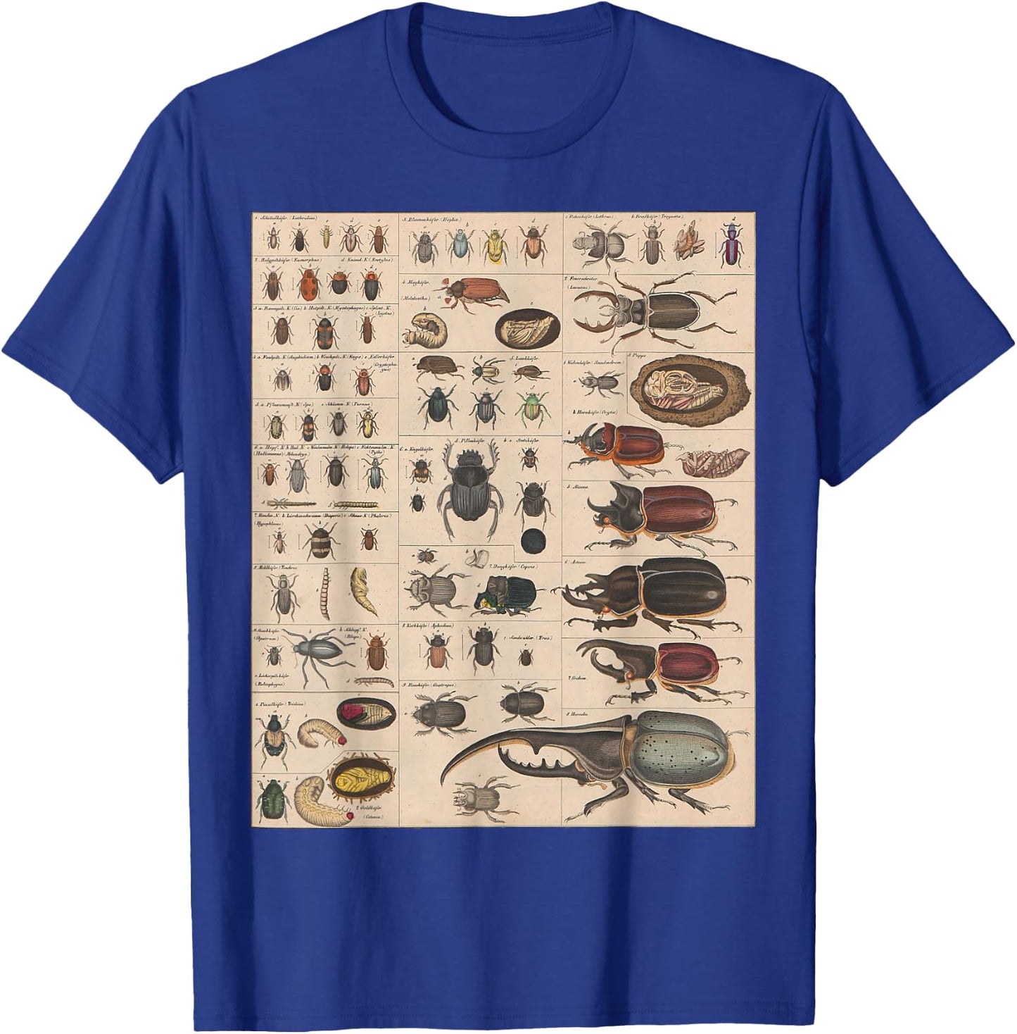 Insects Collection Species Bugs vintage Chart Entomology T-Shirt - T-Shirt | Royal