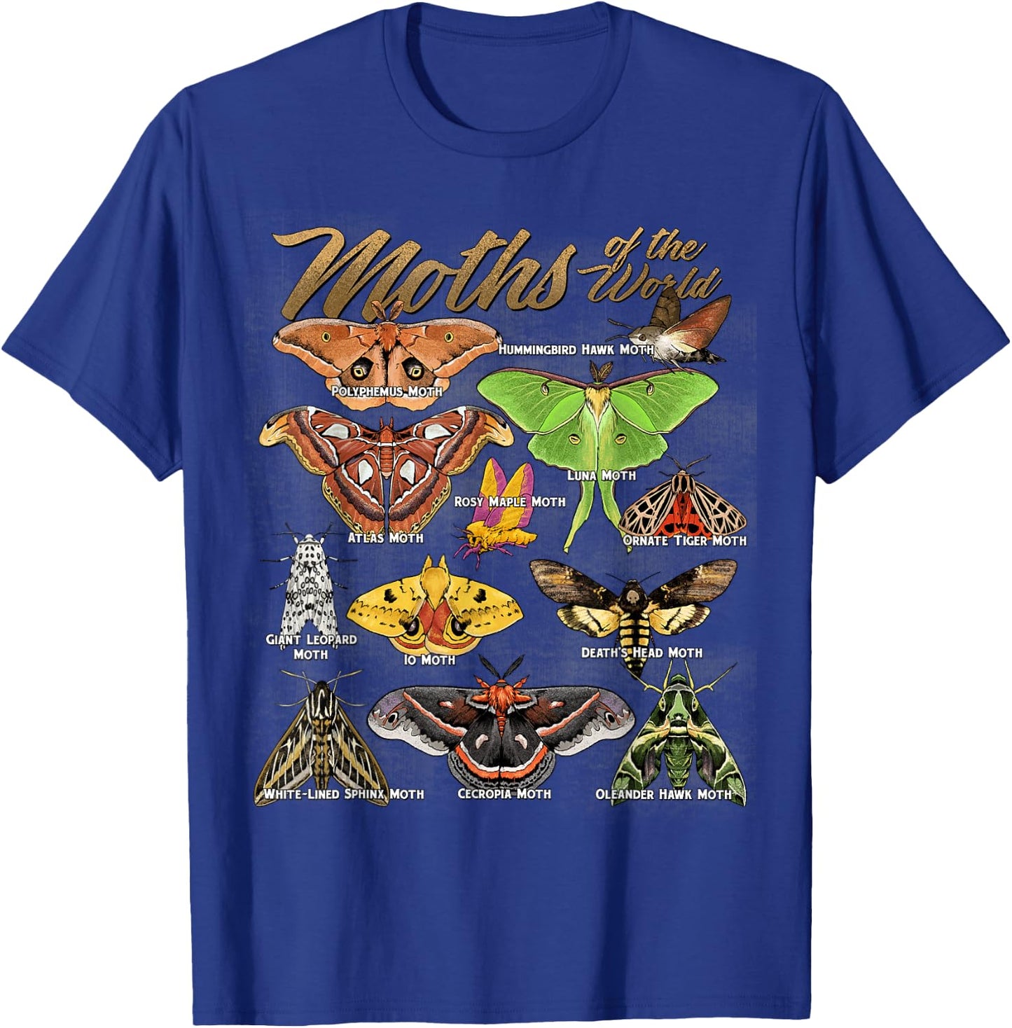 Moths Animals of The World Educational Insect Moth Lover T-Shirt - T-Shirt | Royal