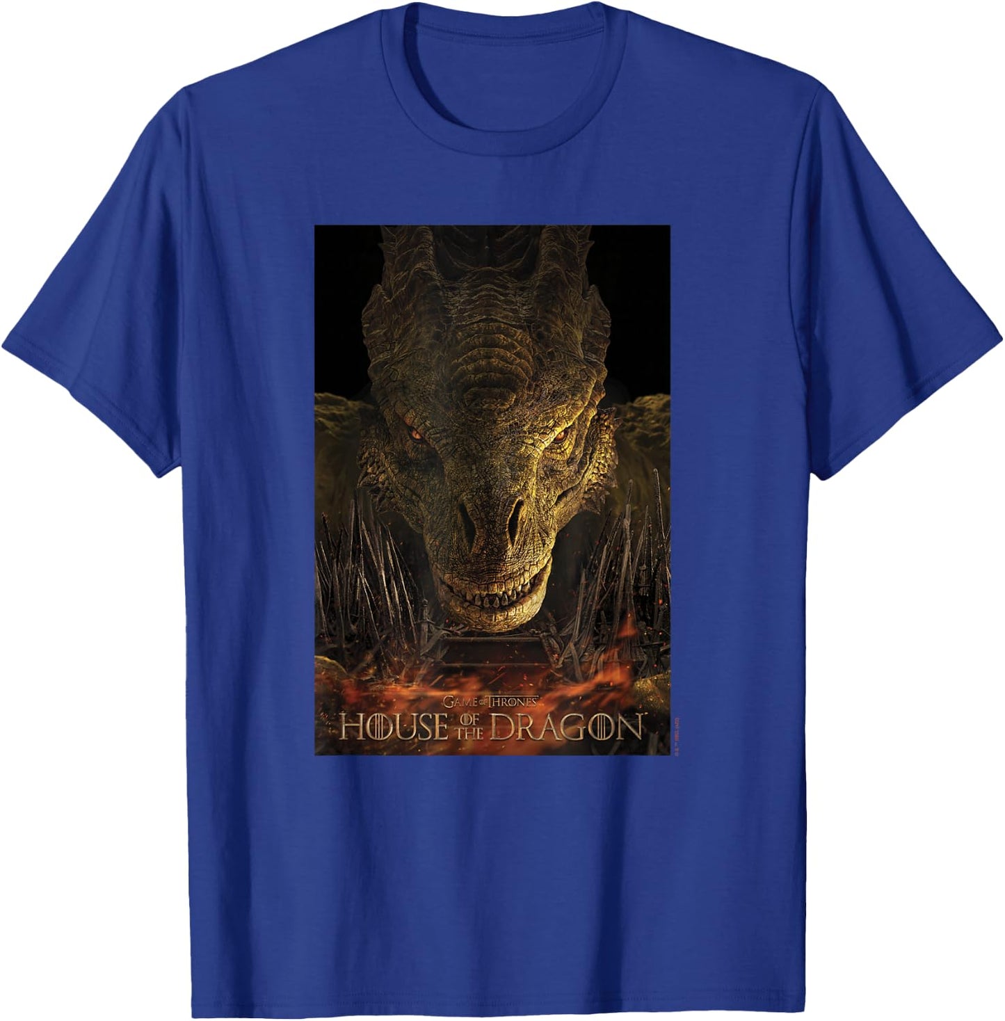House of the Dragon Syrax Fire And Blood Poster T-Shirt - T-Shirt | Royal
