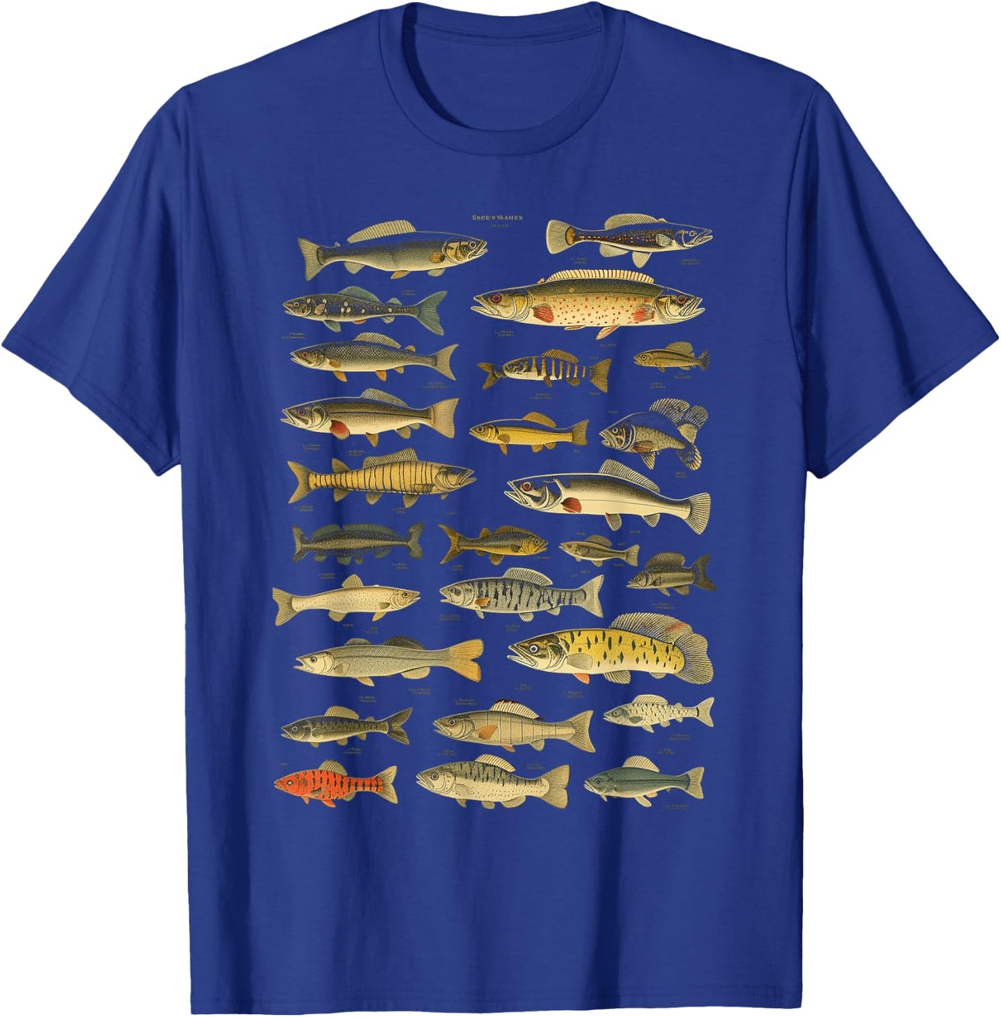 Types Of Freshwater Fish Species Fishing Graphic T-Shirt - T-Shirt | Royal
