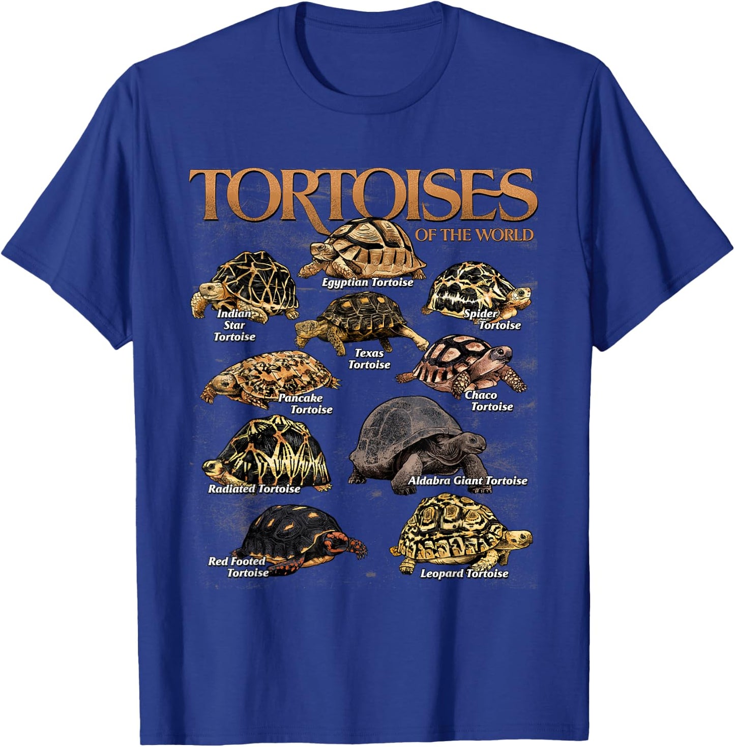 Tortoises Animals of The World Educational Sea Turtle Lover T-Shirt - T-Shirt | Royal