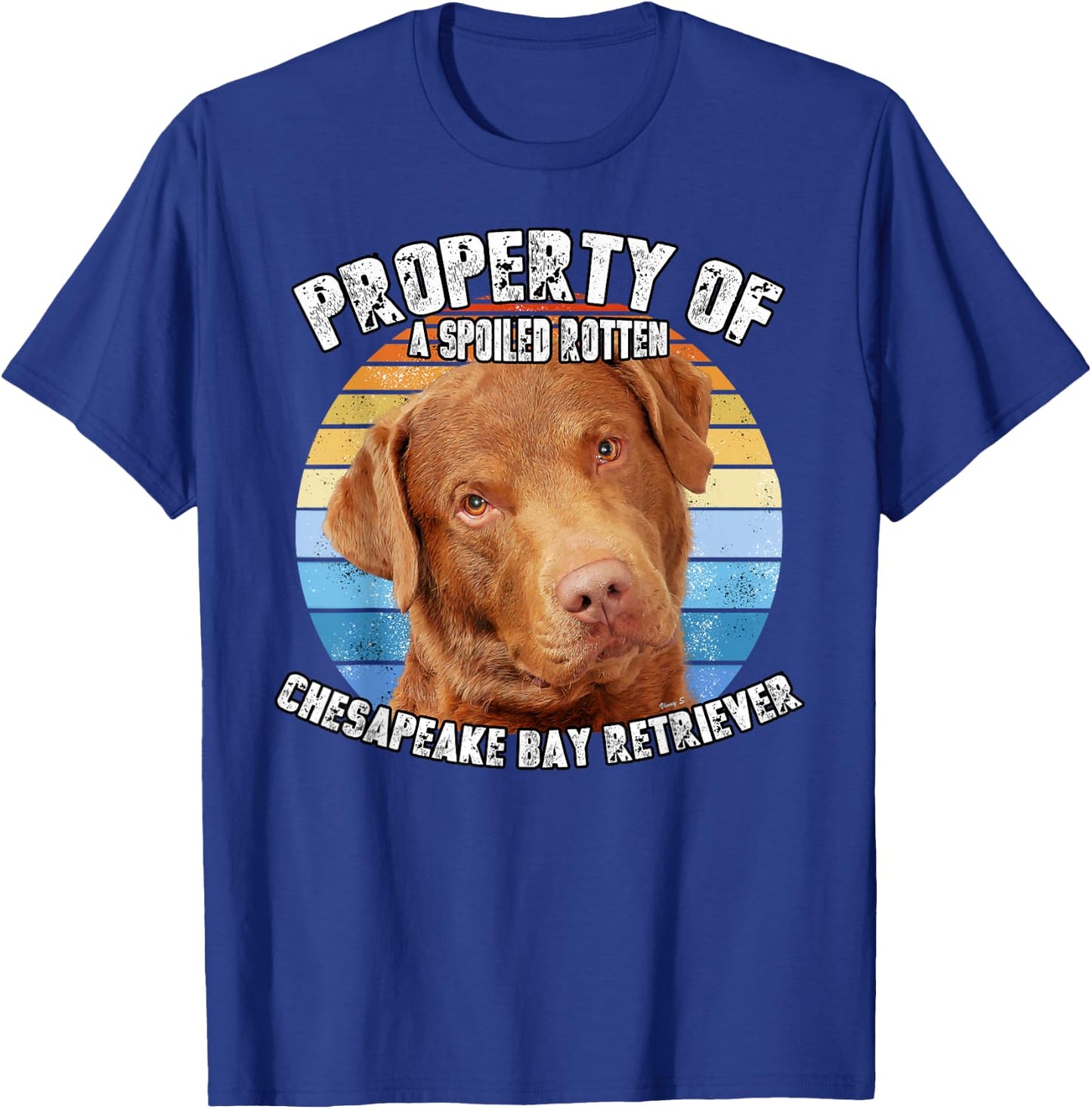 Chesapeake Bay Retriever Property Of T-Shirt - T-Shirt | Royal
