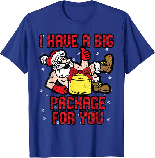 I Have A Big Package Christmas Funny X-Mas Santa Men T-Shirt - T-Shirt | Royal
