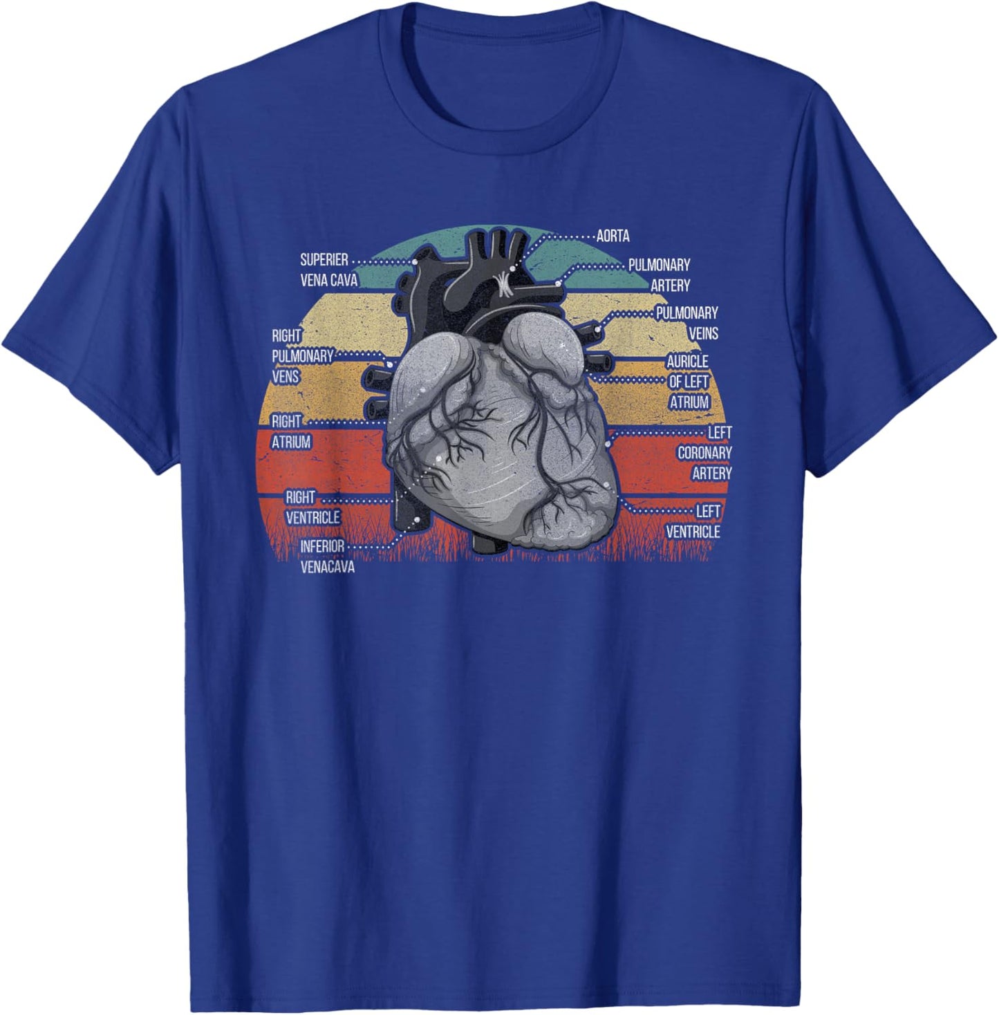 Parts Of Heart Cardiology Men Women Anatomical Cardiac T-Shirt - T-Shirt | Royal