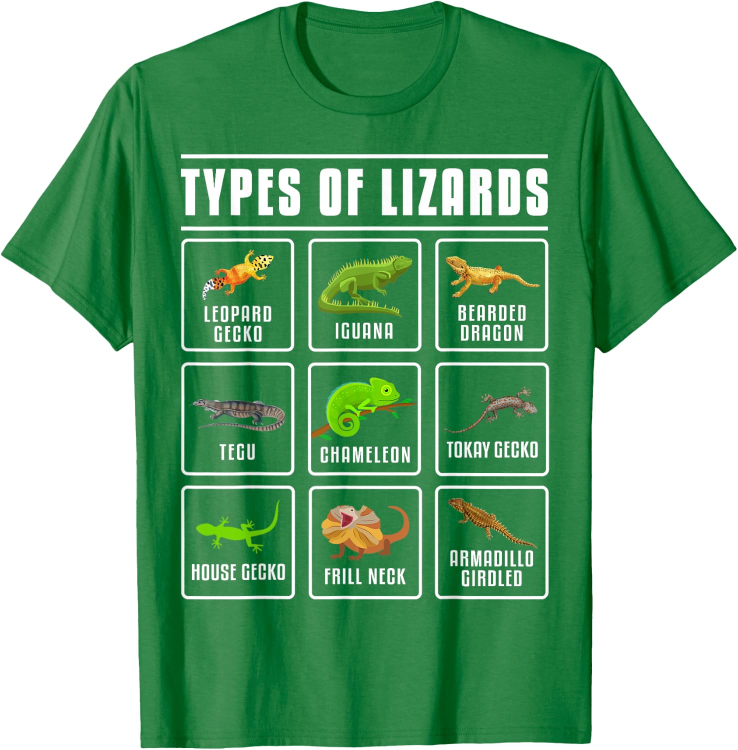 Types of Lizards Lizard Reptiles T-Shirt - T-Shirt | Irish Green