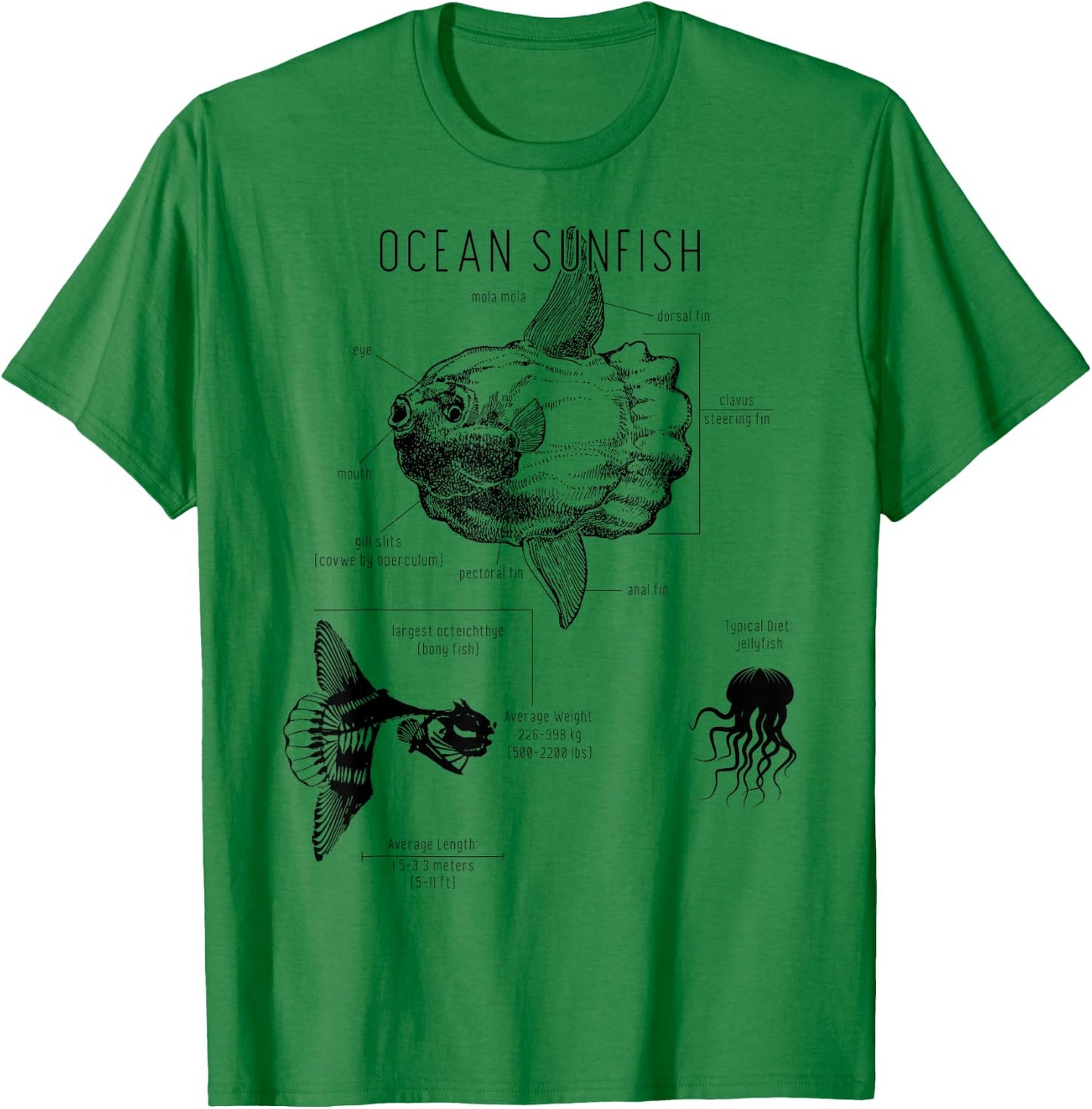 Ocean Sunfish Common Mola Anatomy Mola Mola T-Shirt - T-Shirt | Irish Green