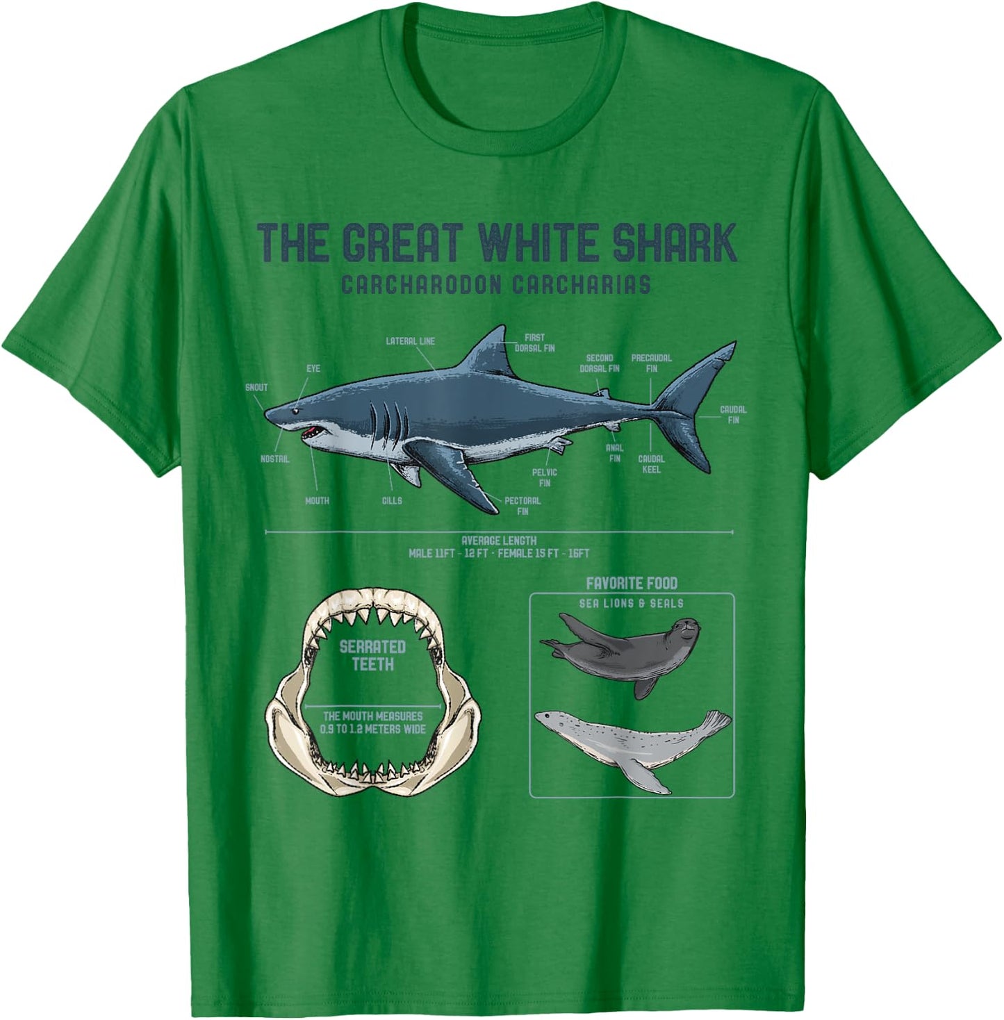Great White Shark Anatomy Shirt - Shark Marine Biologist T-Shirt - T-Shirt | Irish Green