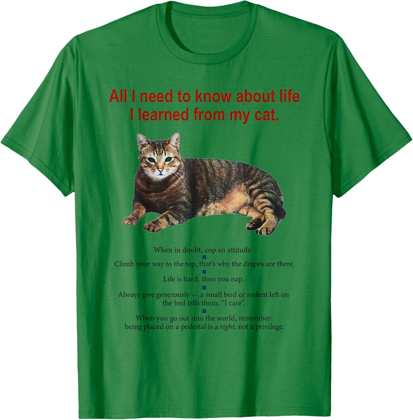 Everything I Need To Know About Life I Learned From My Cat Women T-Shirt - T-Shirt | Irish Green
