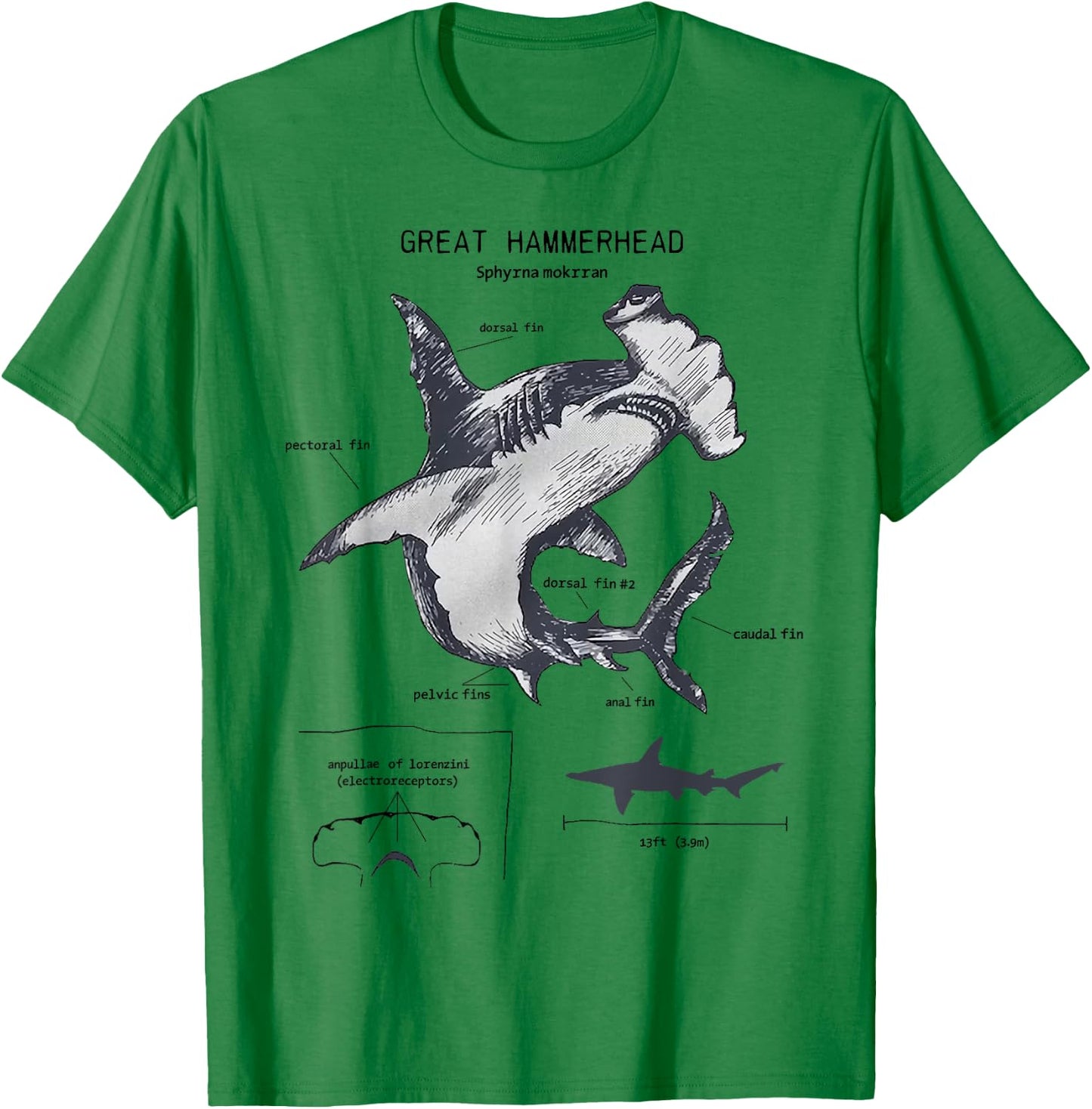 Great Hammerhead Anatomy Marine Biologist T-Shirt - T-Shirt | Irish Green