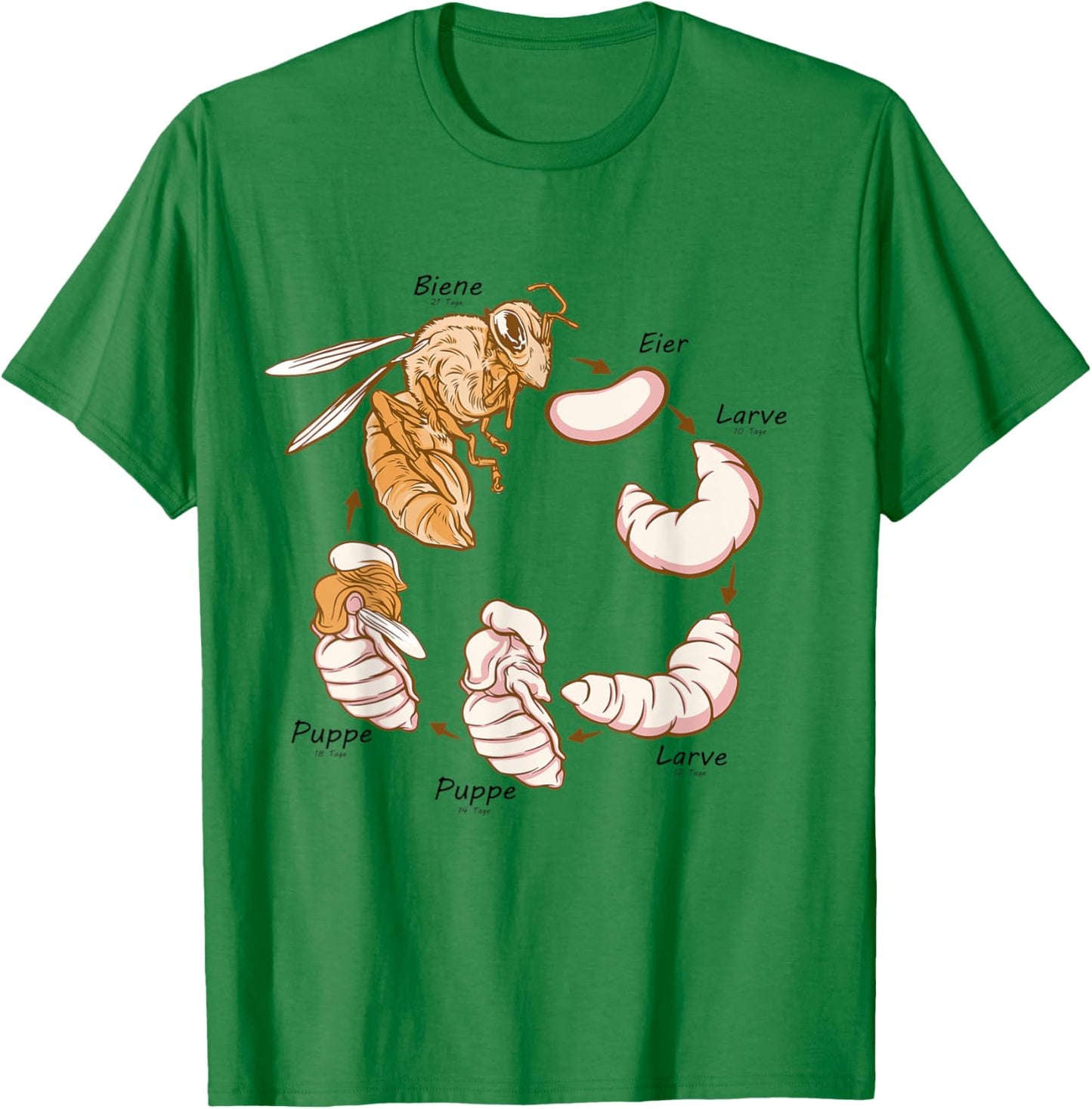 Life cycle of the bee Montessori material T-Shirt - T-Shirt | Irish Green