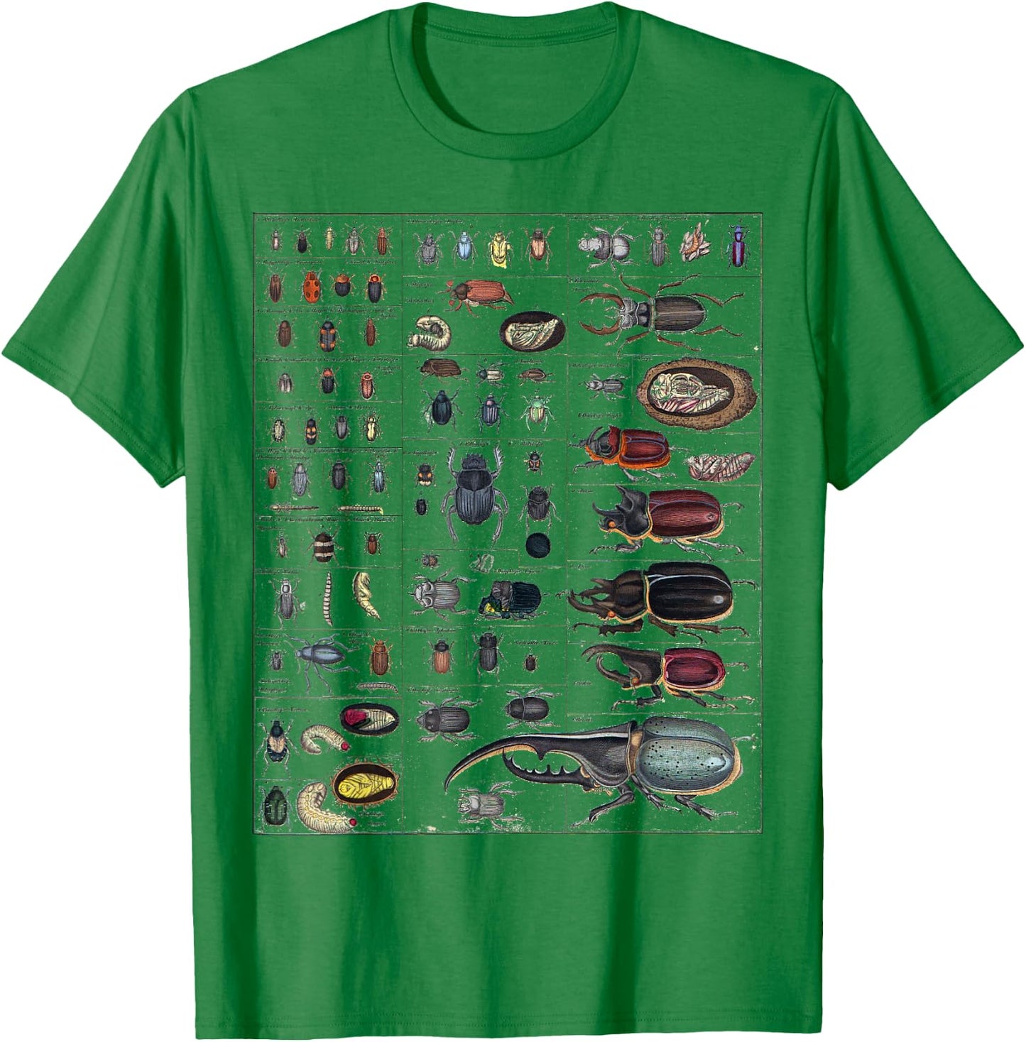 Insects Collection Species Bugs vintage Chart Entomology T-Shirt - T-Shirt | Irish Green