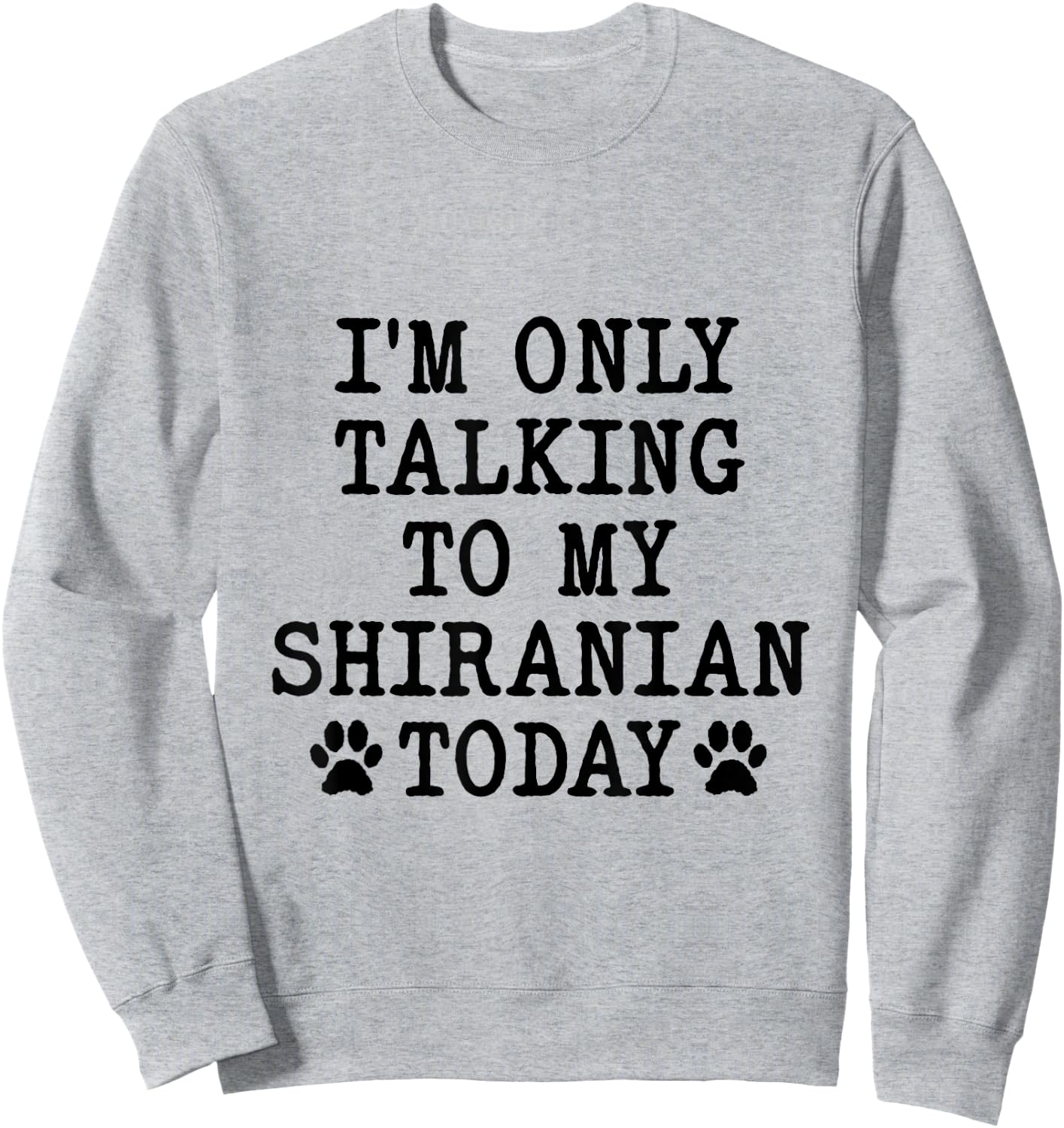 I'm Only Talking To My Shiranian Today Pomshi Shih A Pom Sweatshirt - Sweatshirt | Ash