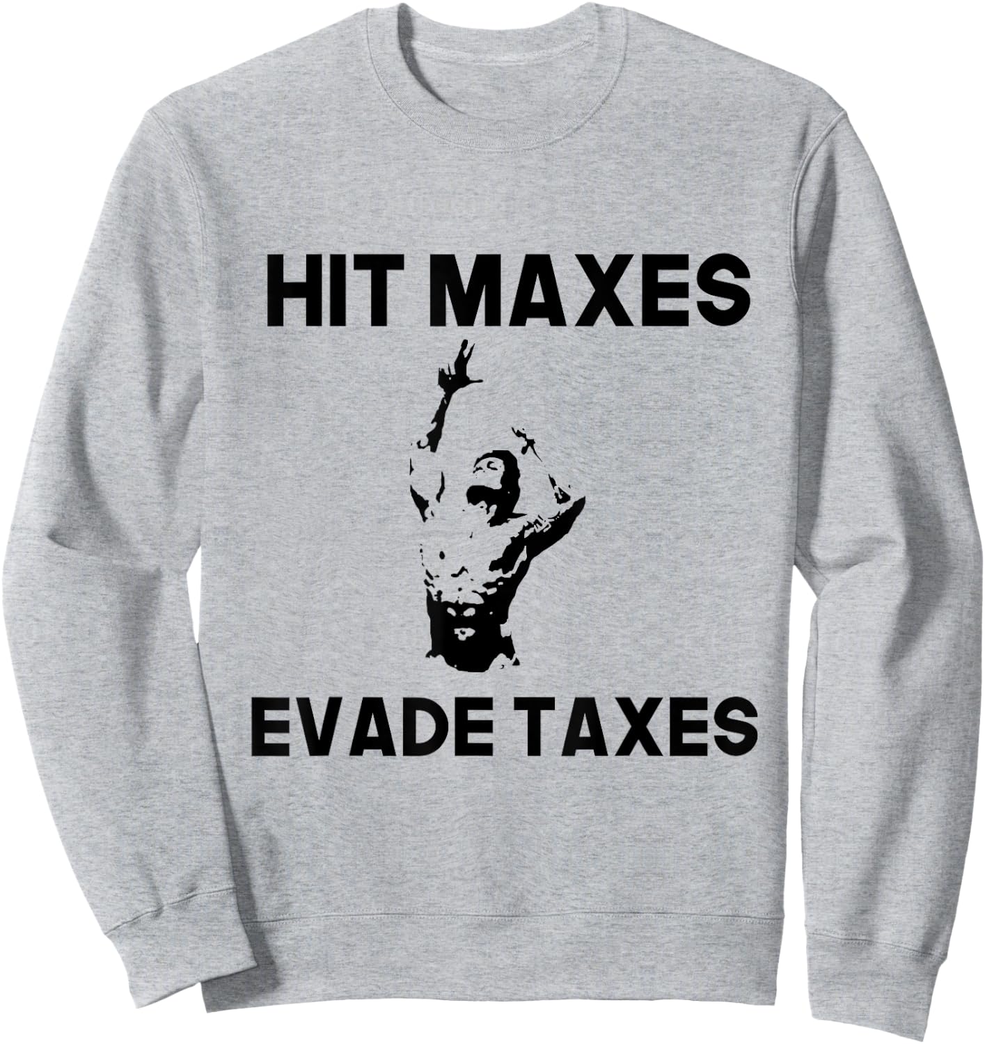 Hit Maxes Evade Taxes Funny Apparel Vintage Sweatshirt - Sweatshirt | Ash