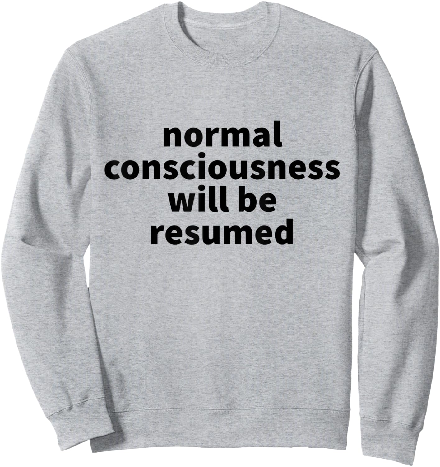 Normal Consciousness Will Be Resumed Sweatshirt - Sweatshirt | Ash