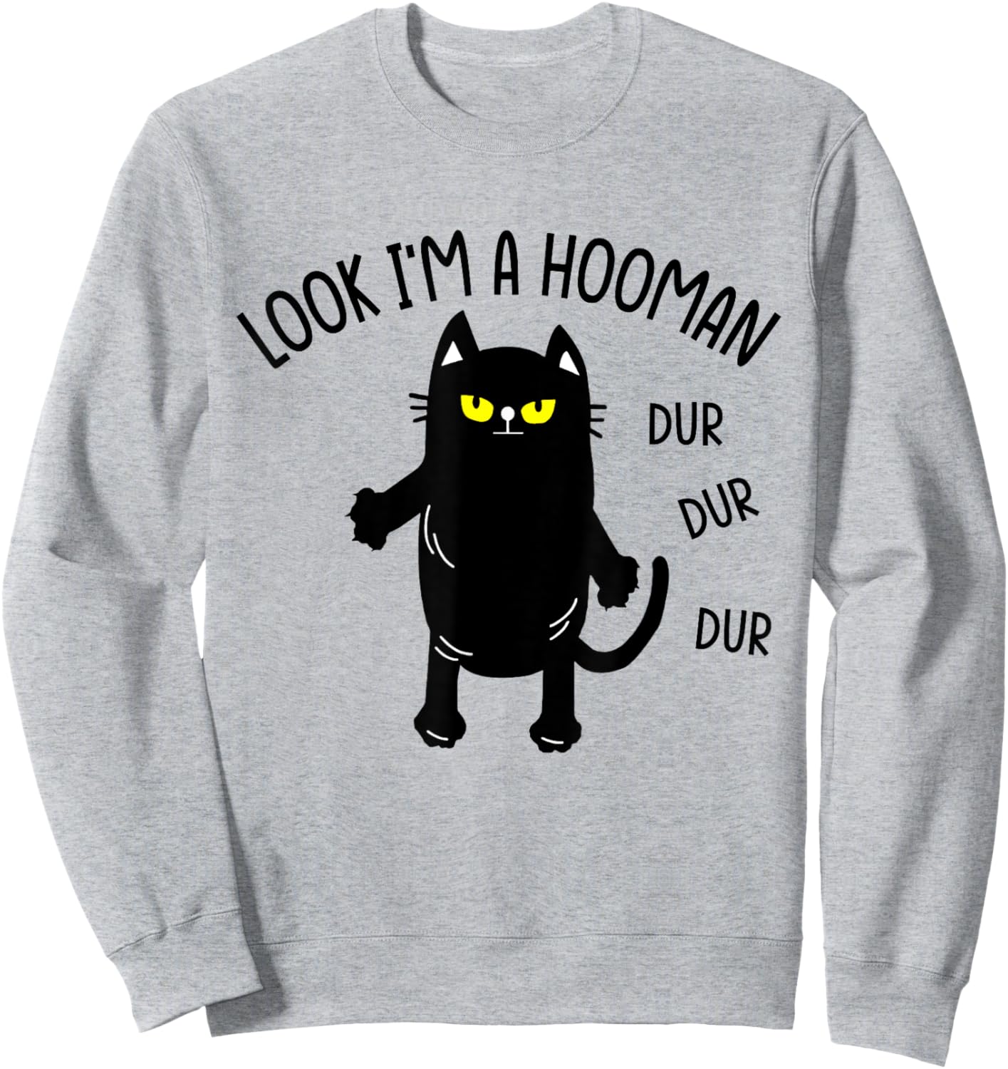 Look I'm A Hooman Funny Cat Sweatshirt - Sweatshirt | Ash