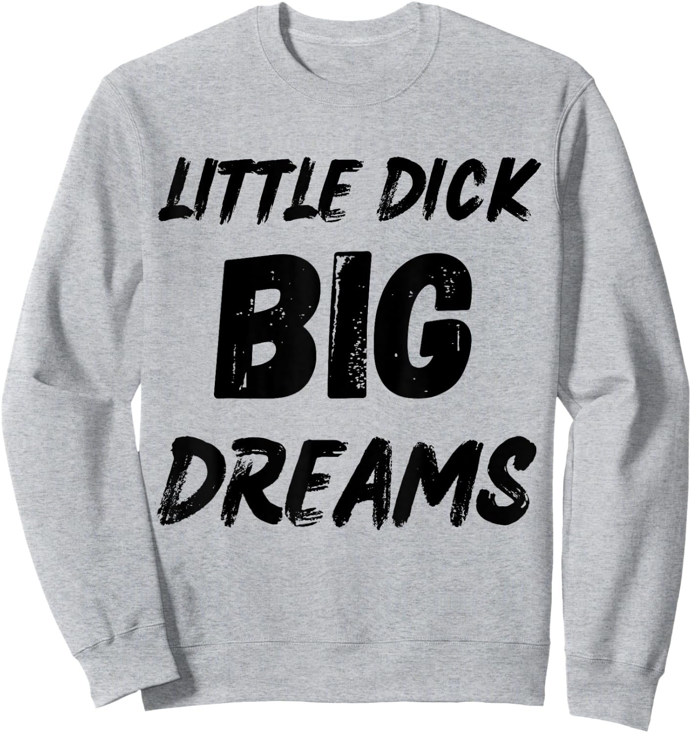 Little Dick Big Dreams Fun Design Sweatshirt - Sweatshirt | Ash