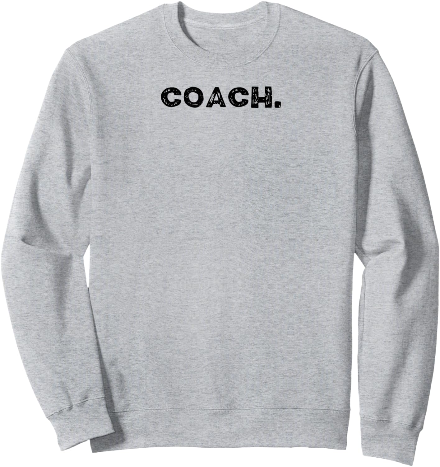 Shirt That Says Coach. Sweatshirt - Sweatshirt | Ash