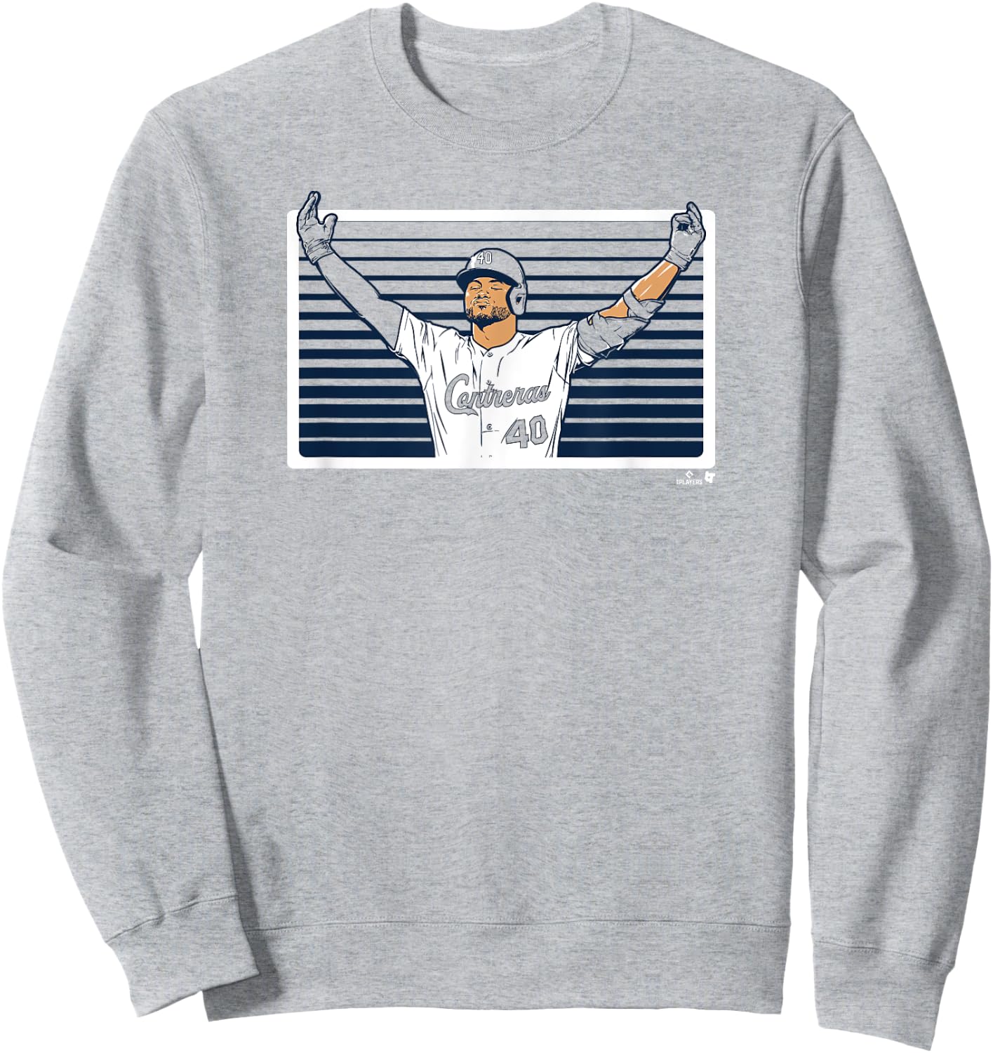 Willson Contreras - Boo Bird - St. Louis Baseball Sweatshirt - Sweatshirt | Ash
