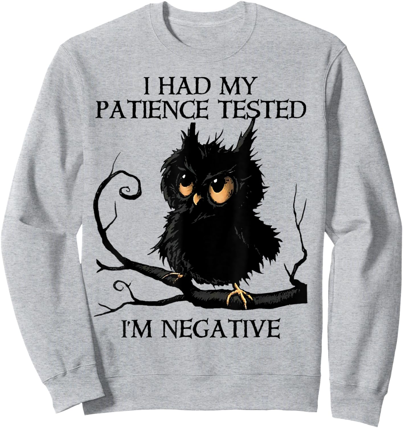 Funny I Had My Patience Tested I'm Negative Owl Gift Sweatshirt - Sweatshirt | Ash
