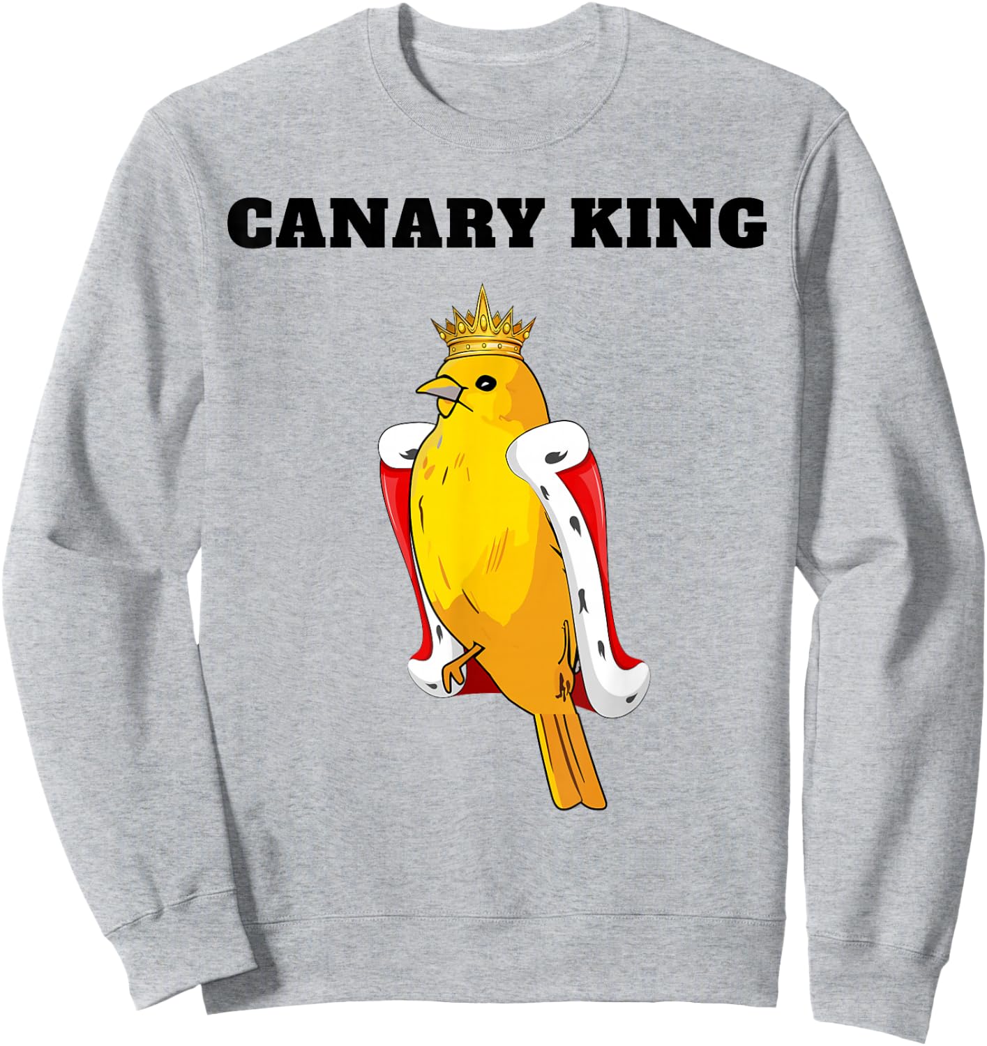 Canary King | Boys Canary Lover Design | Canary Sweatshirt - Sweatshirt | Ash