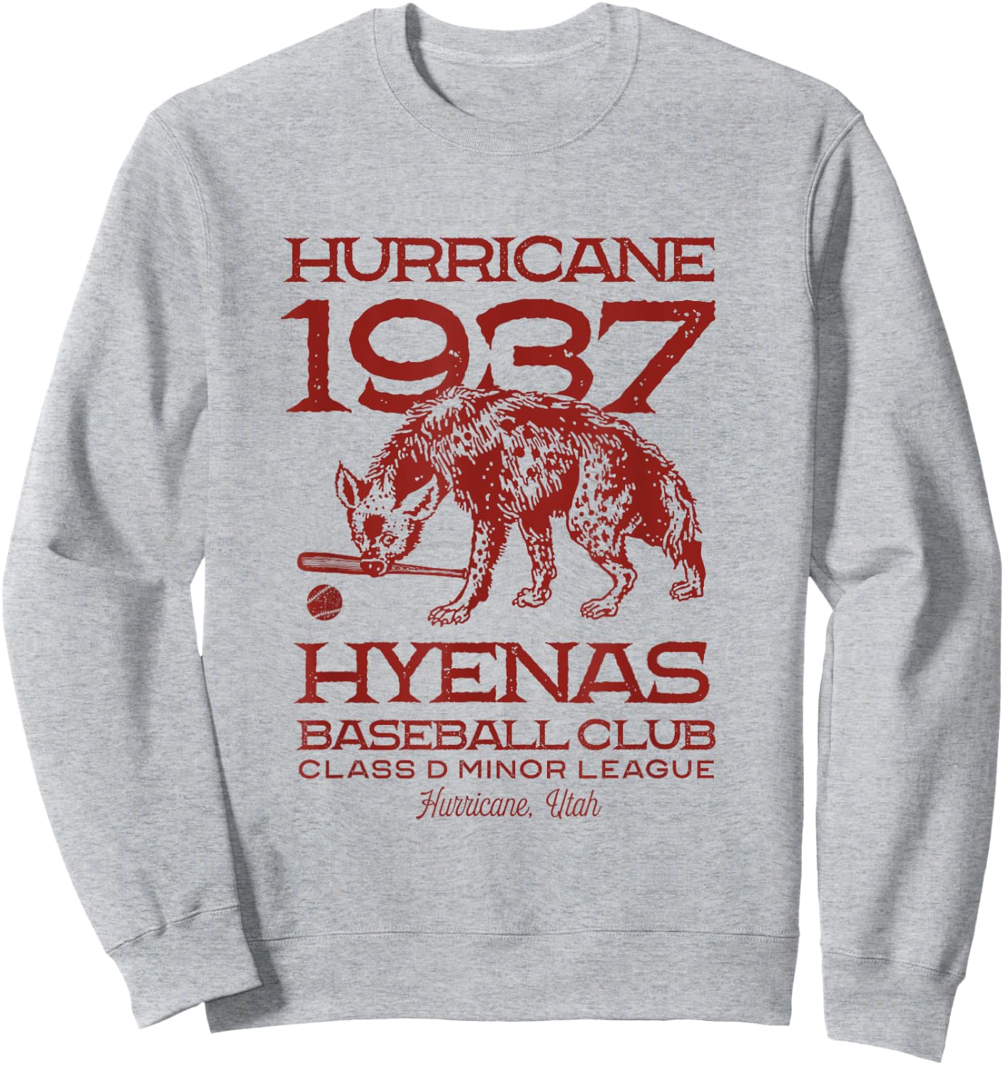 Hurricane Hyenas Minor League Retro Baseball Team Sweatshirt - Sweatshirt | Ash