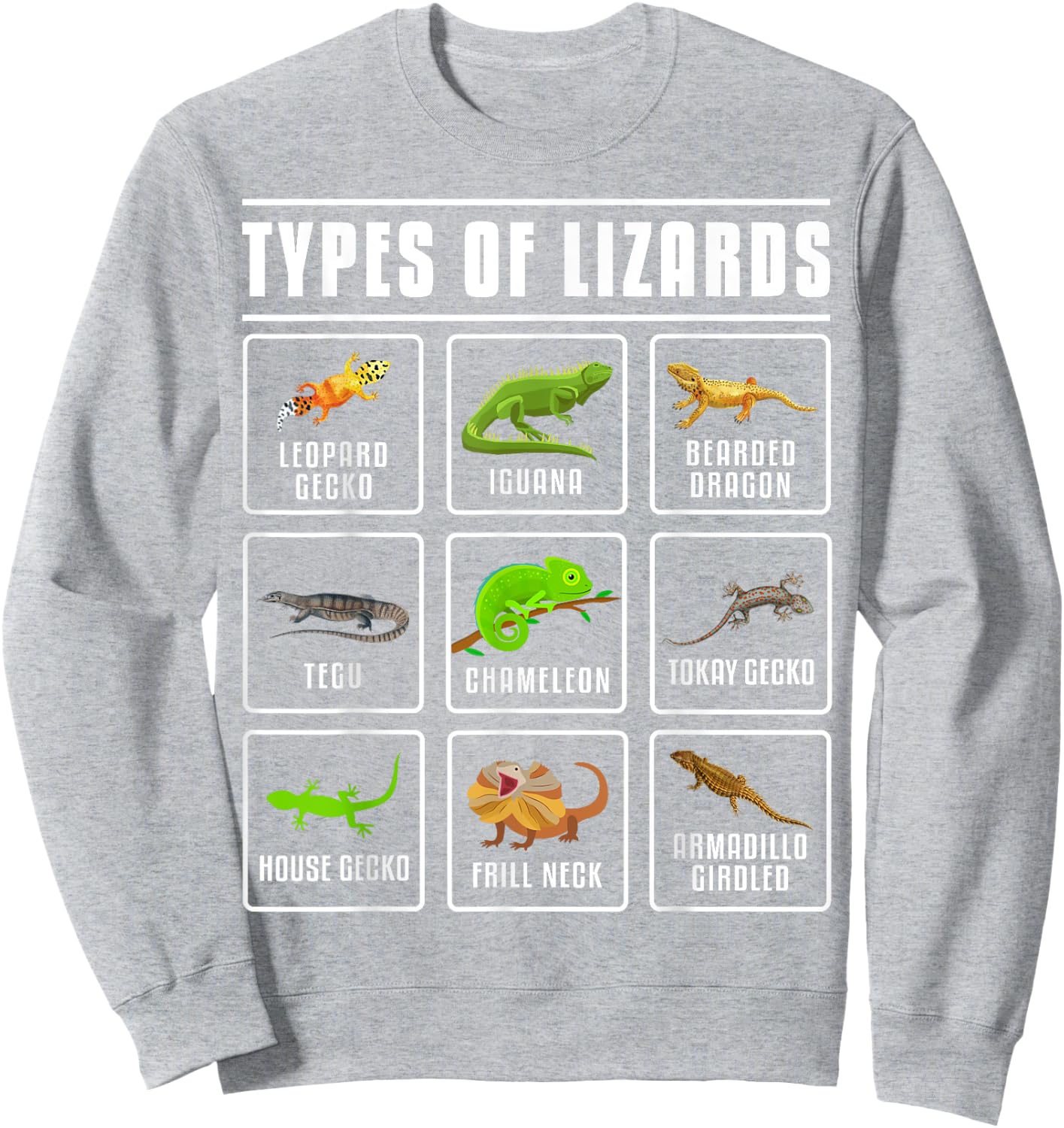 Types of Lizards Lizard Reptiles Sweatshirt - Sweatshirt | Ash