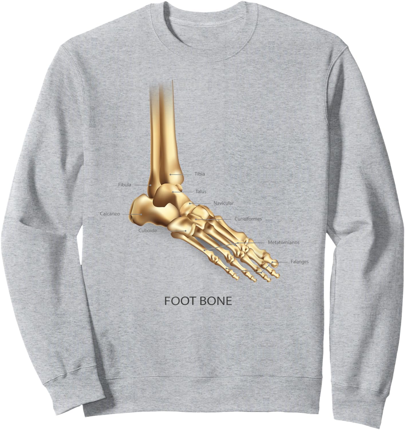 Funny Anatomy Foot Bon Human Anatomical Science Education Sweatshirt - Sweatshirt | Ash