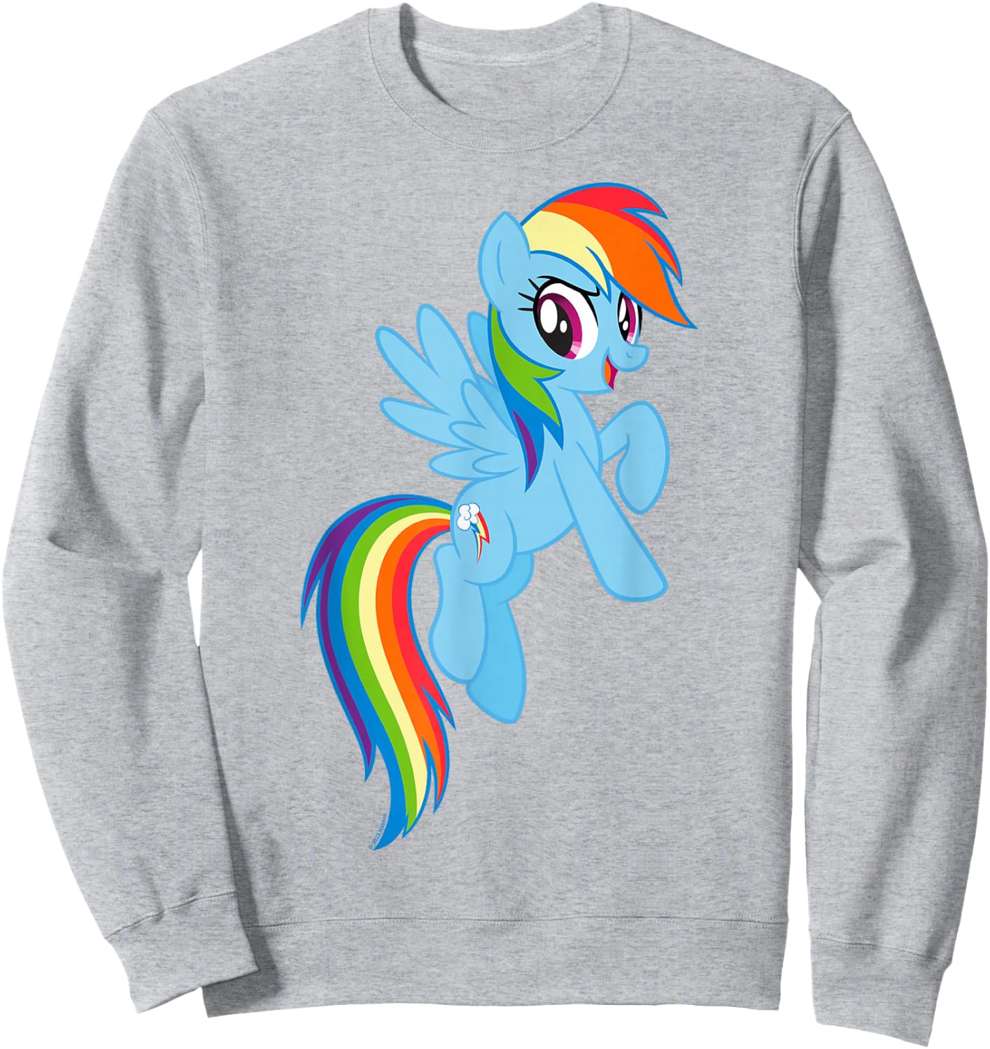 My Little Pony: Friendship is Magic Big Rainbow Dash Sweatshirt - Sweatshirt | Ash