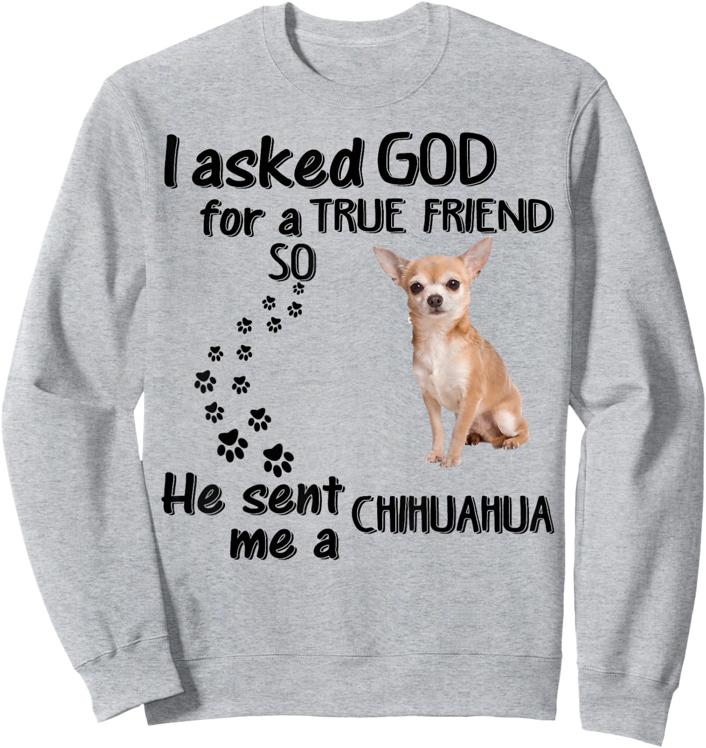 I Asked God For True Friend So He Sent Chihuahua Sweatshirt - Sweatshirt | Ash