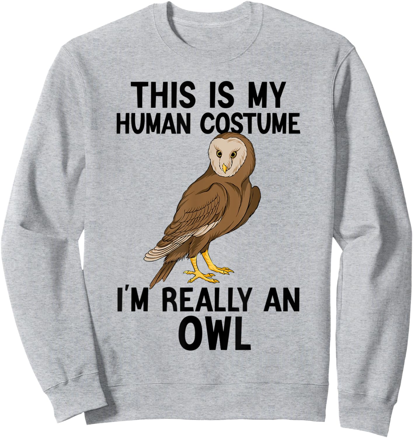 Simple Halloween Costumes Women - Funny Owl Costume Sweatshirt - Sweatshirt | Ash