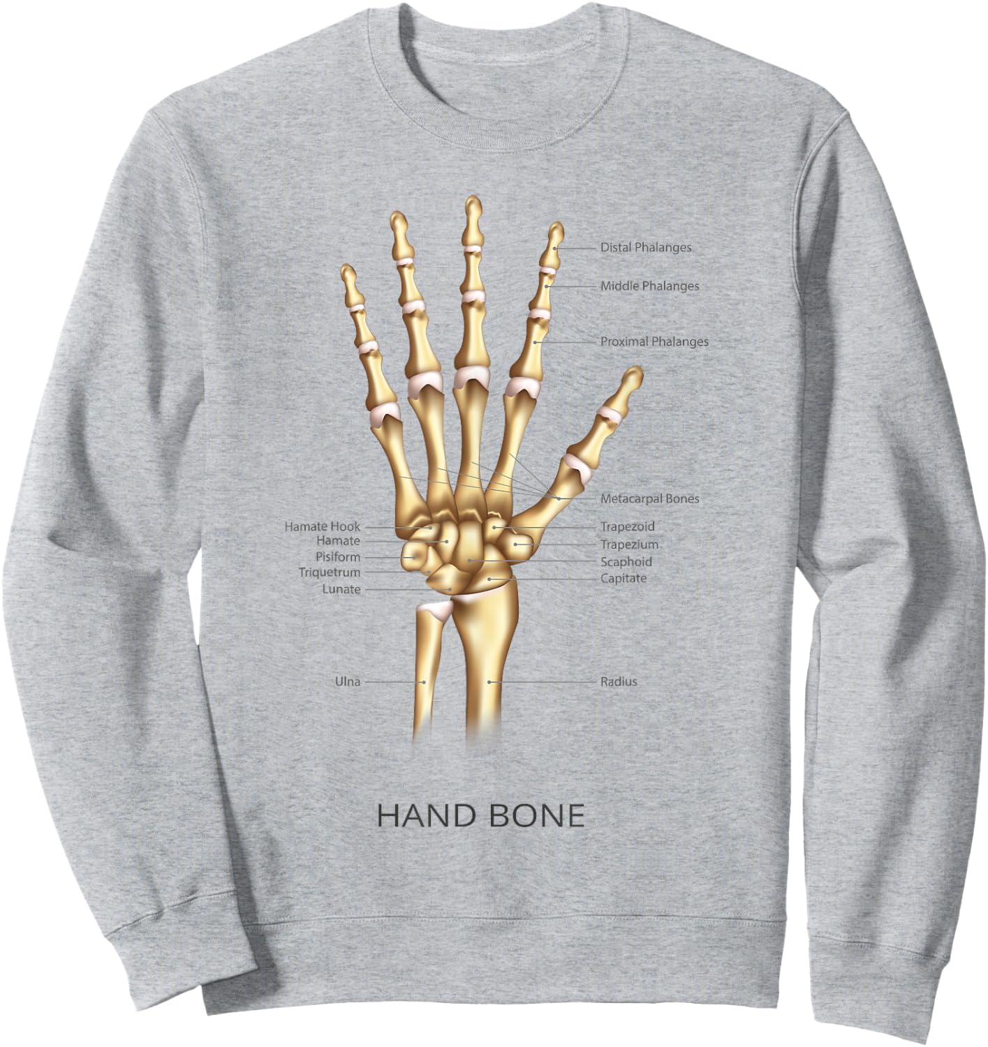 Funny Anatomy Hand Bone Human Anatomical Science Education Sweatshirt - Sweatshirt | Ash