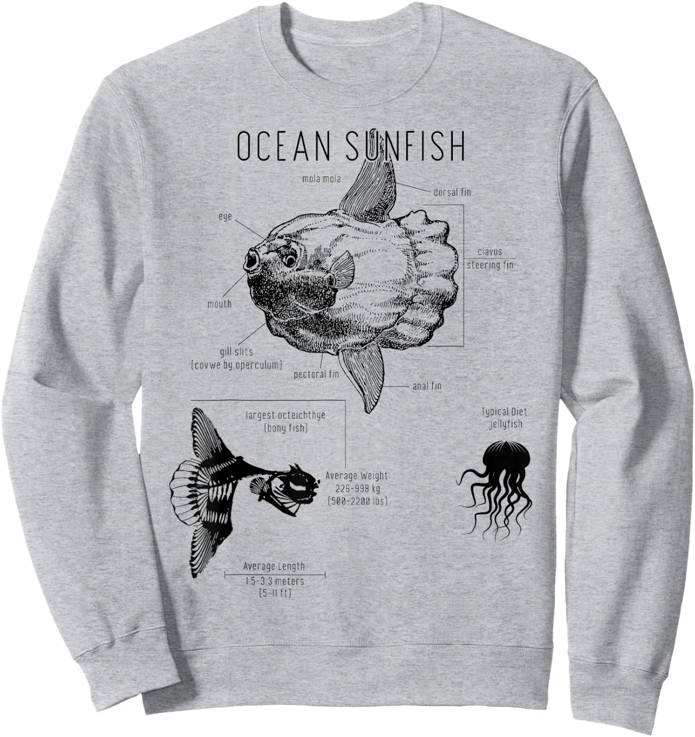 Ocean Sunfish Common Mola Anatomy Mola Mola Sweatshirt - Sweatshirt | Ash