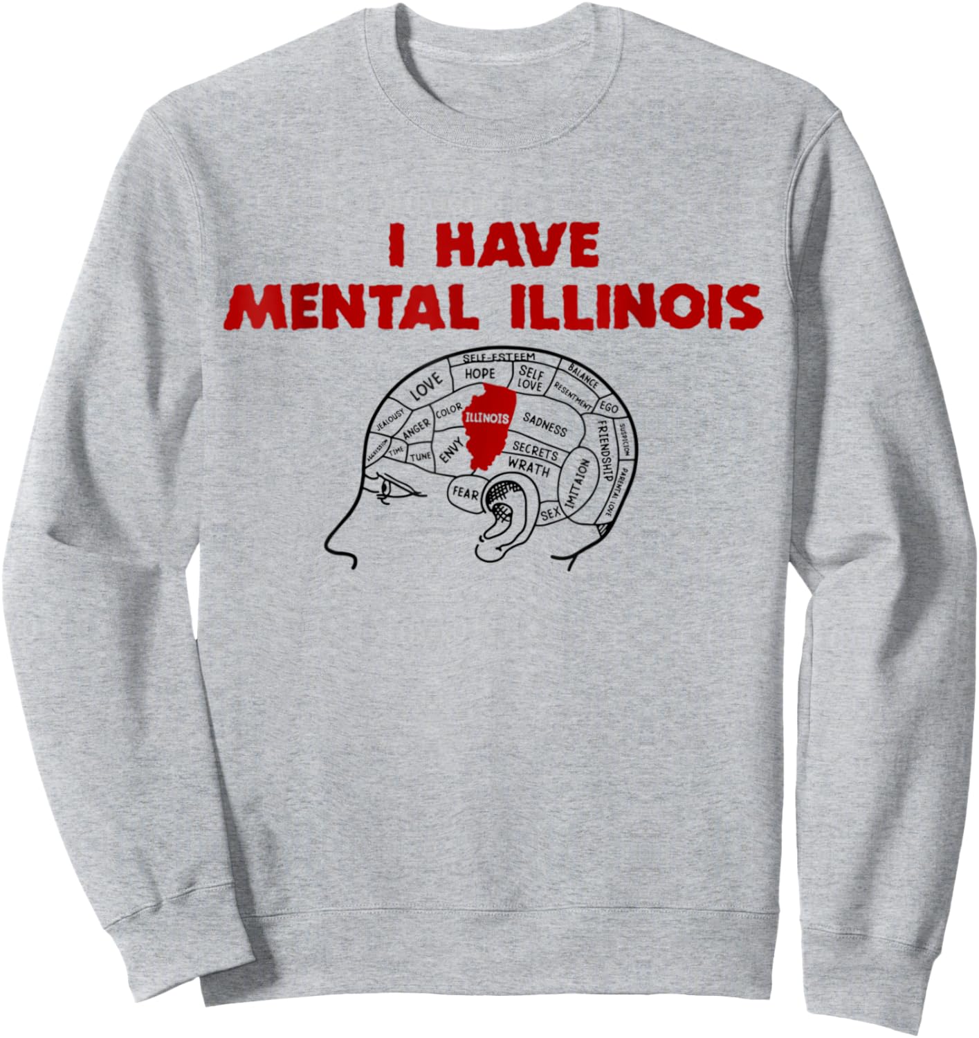 I Have Mental Illinois Funny Pun, Illinoisan Women Men Humor Sweatshirt - Sweatshirt | Ash