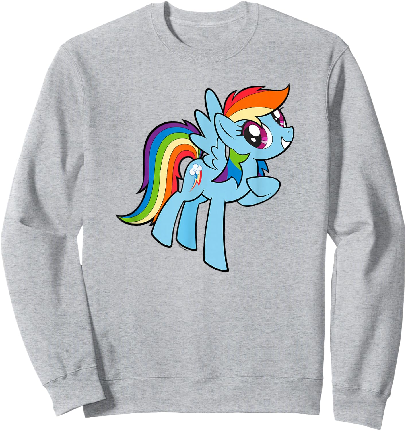 My Little Pony: Friendship is Magic Adorable Rainbow Dash Sweatshirt - Sweatshirt | Ash