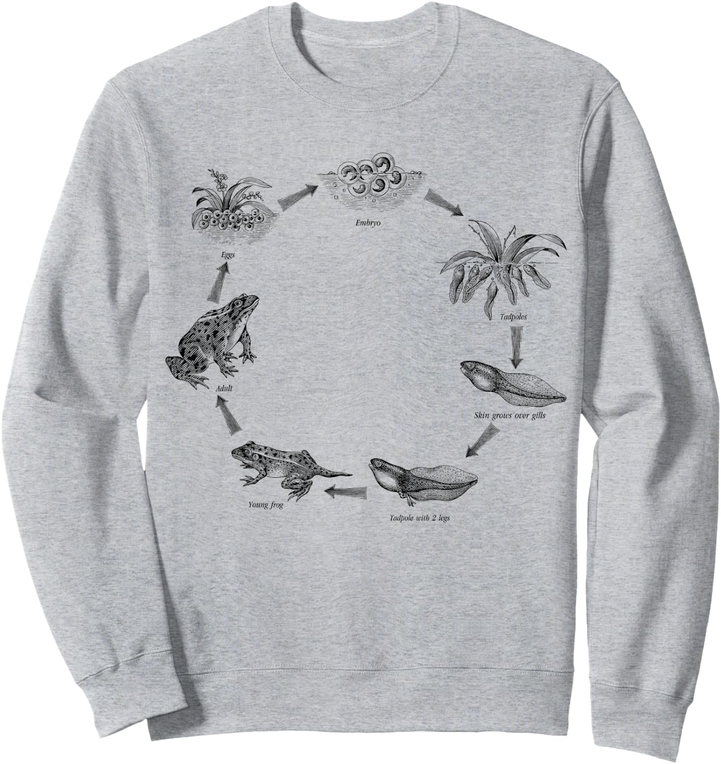 Life cycle of frog, biologist, zoologist, Herpetologist Sweatshirt - Sweatshirt | Ash