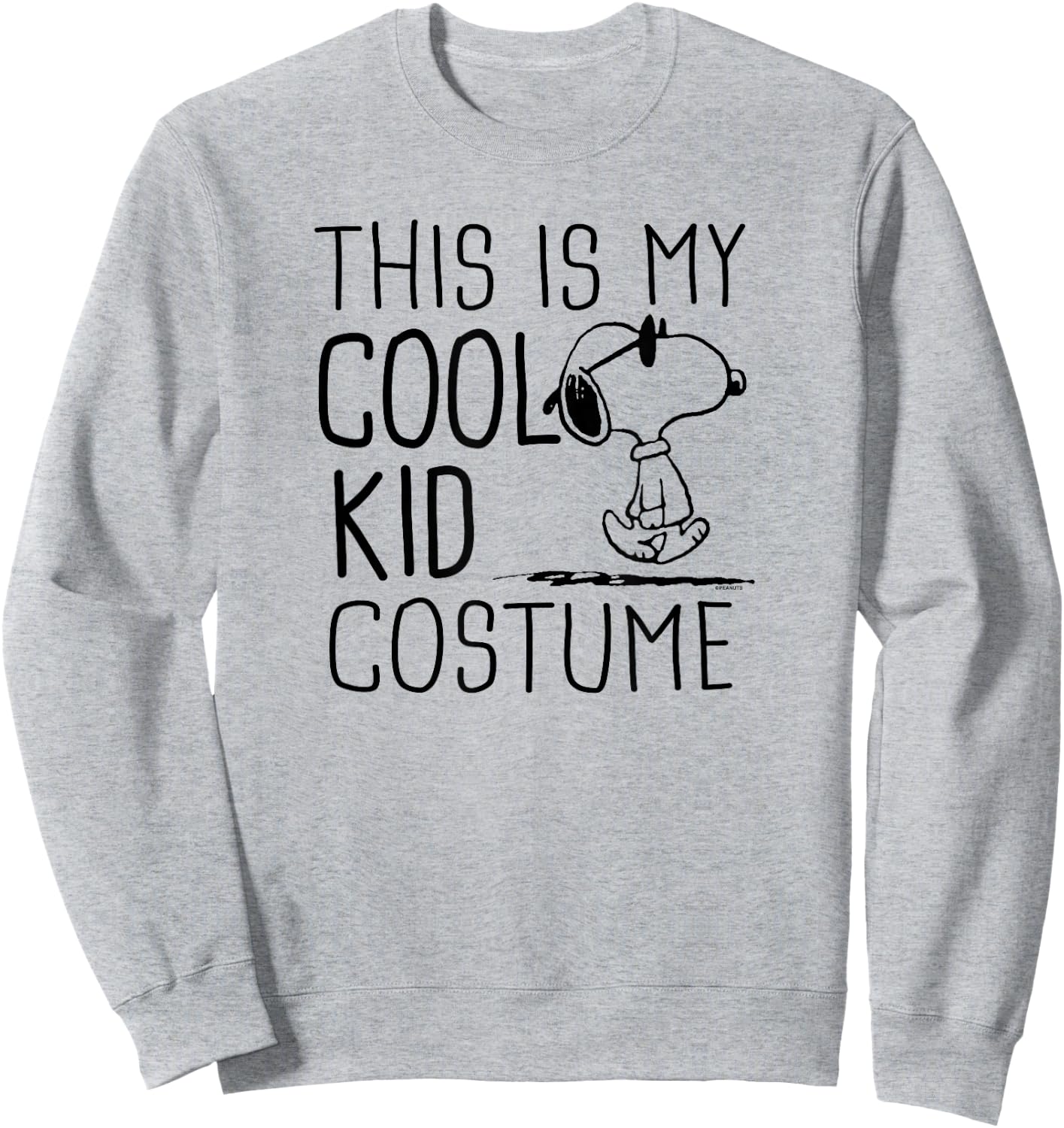 Peanuts Snoopy Cool Kid Costume Sweatshirt - Sweatshirt | Ash